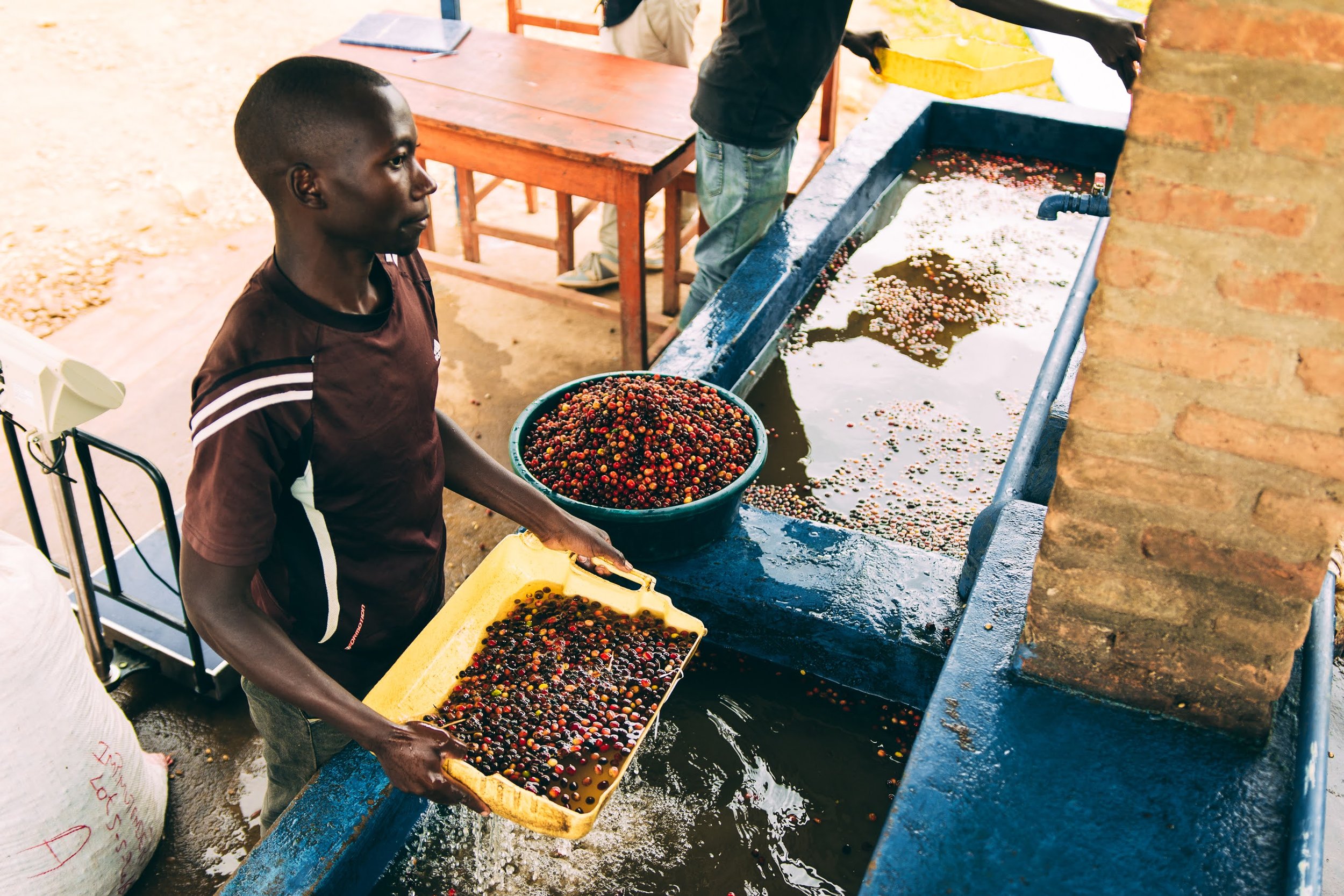 Rugali © Aidan Campbell 17.jpg