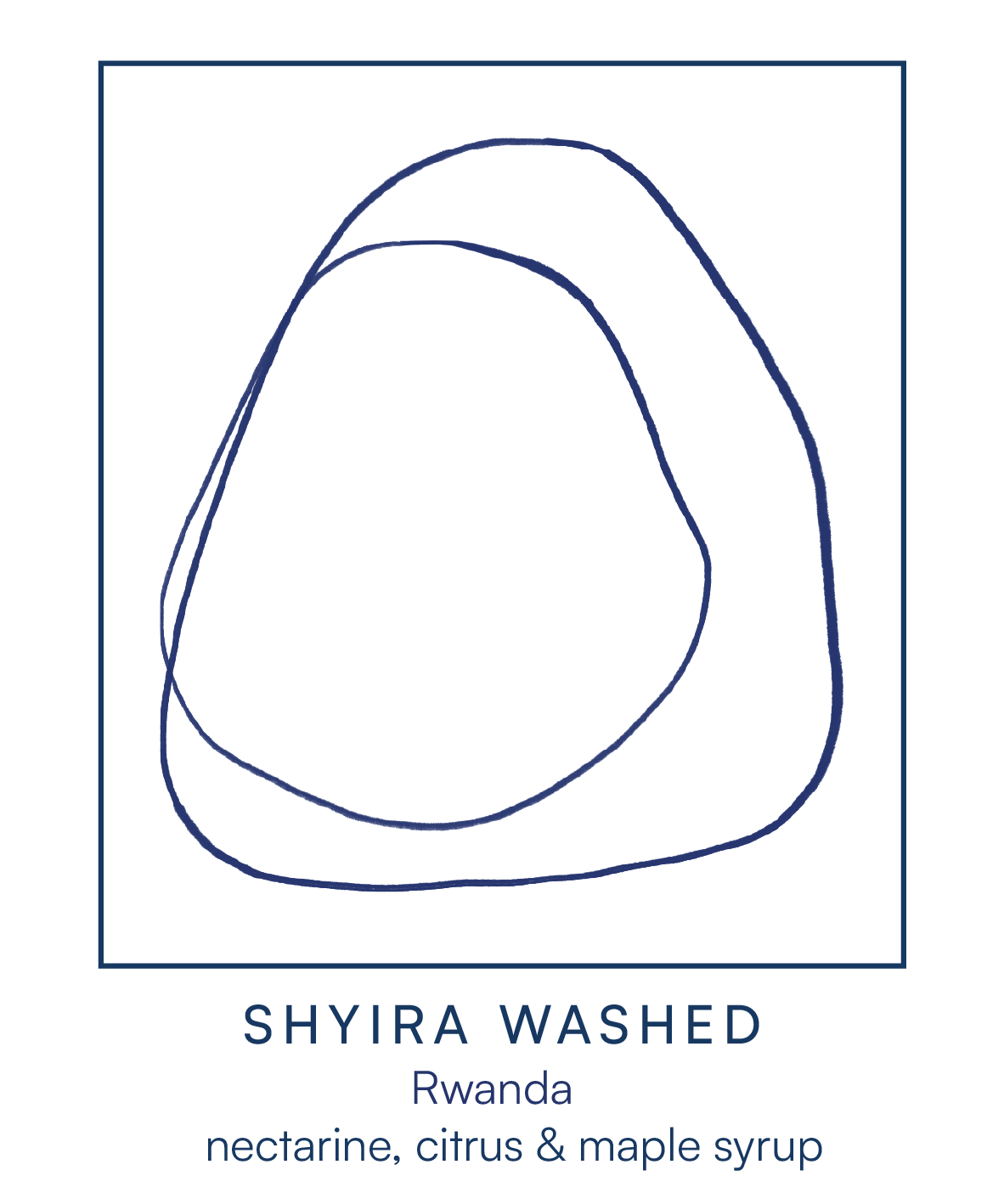 SHYIRA WASHED