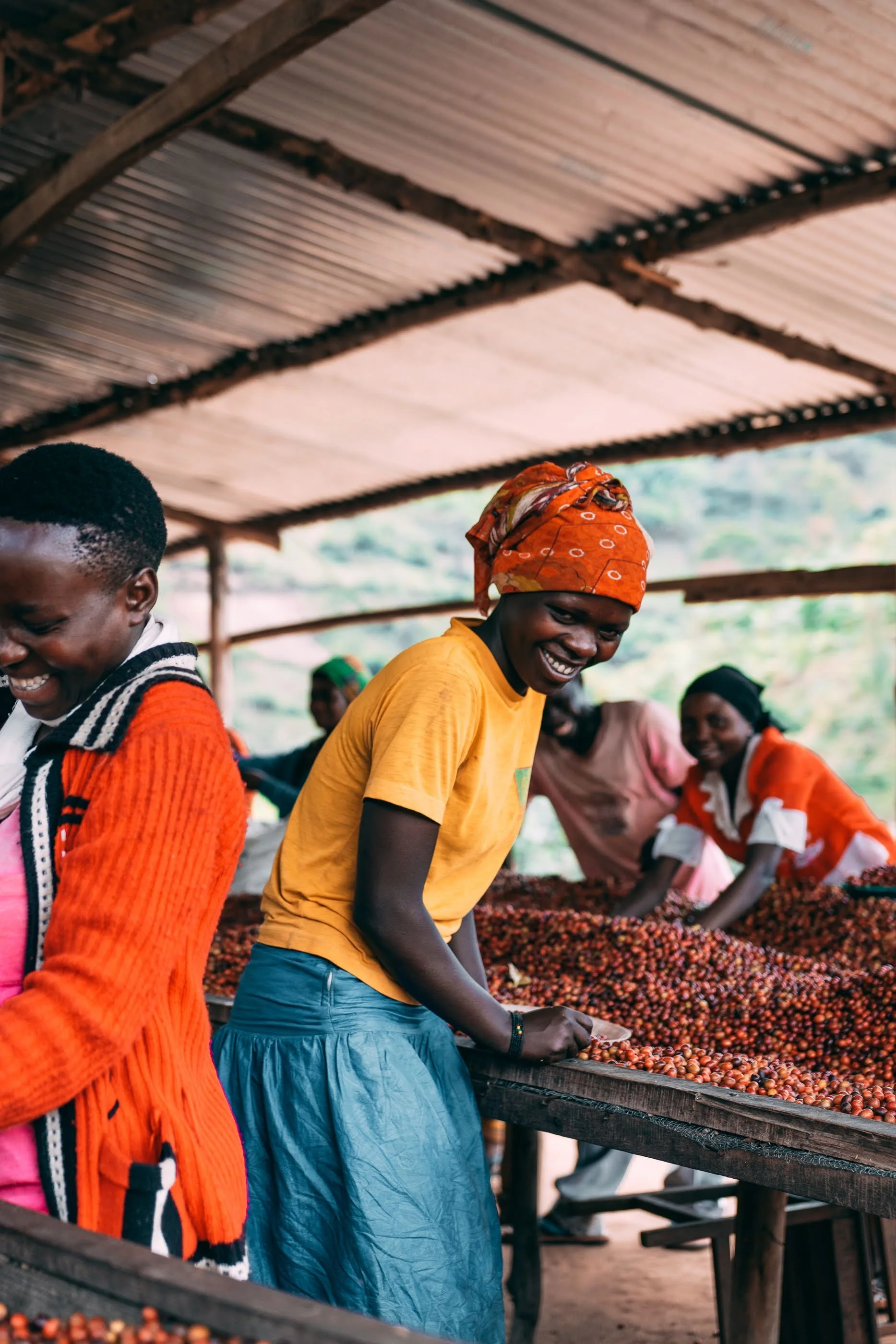 Kilimbi © Aidan Campbell 64.jpg