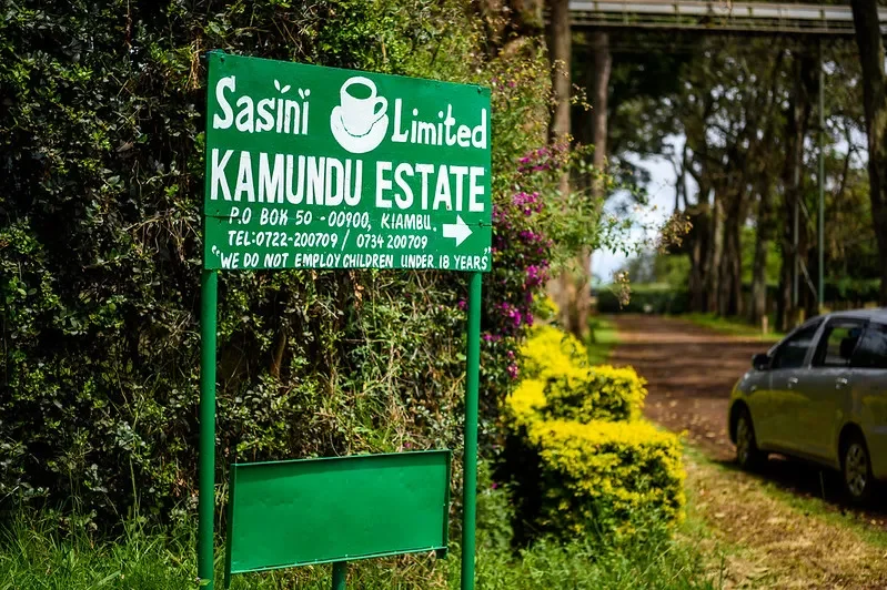 Kamundu_Estate_Sign_Kenya_Green_Coffee.webp