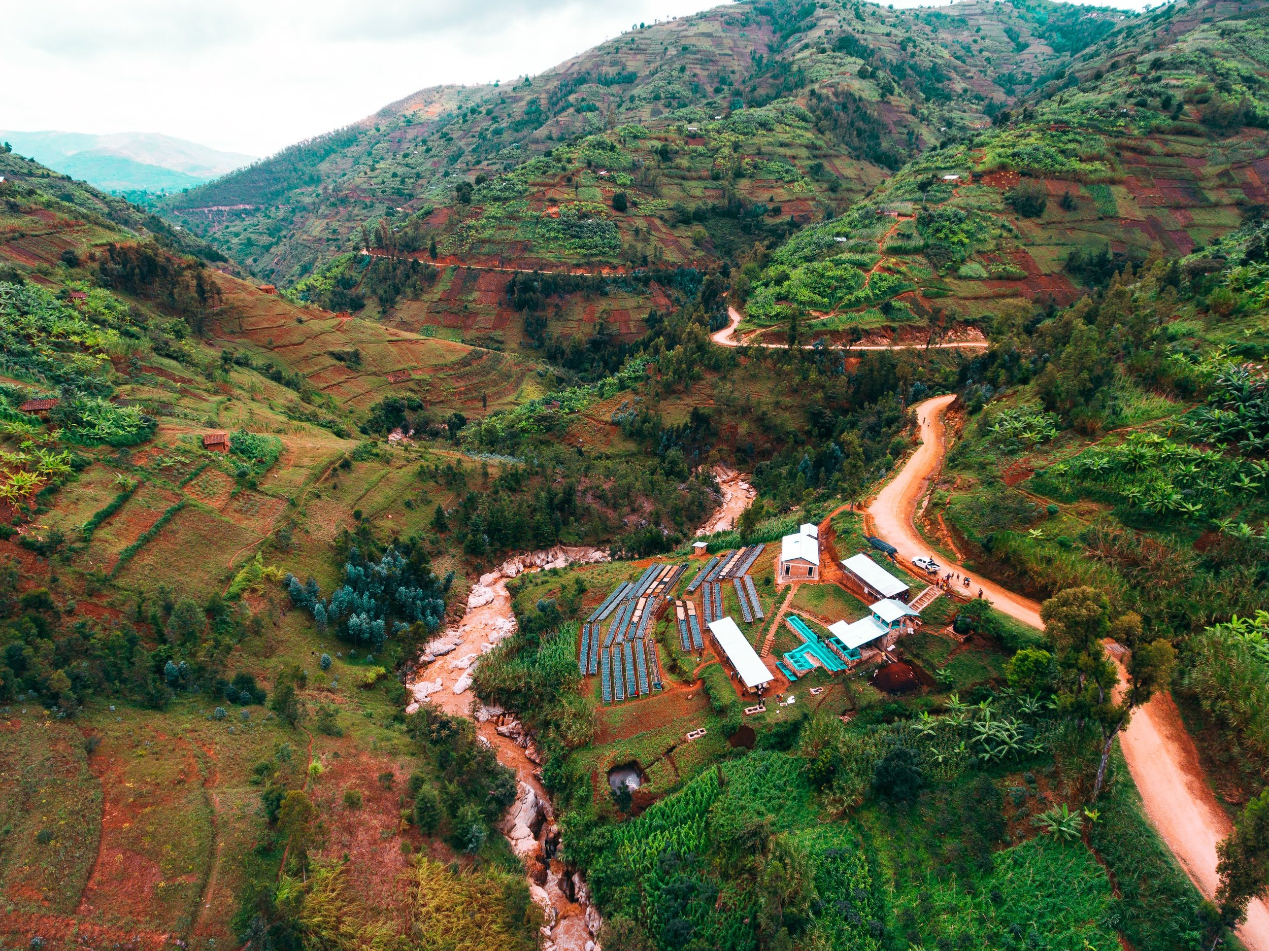 Shyira © Aidan Campbell 5.jpg