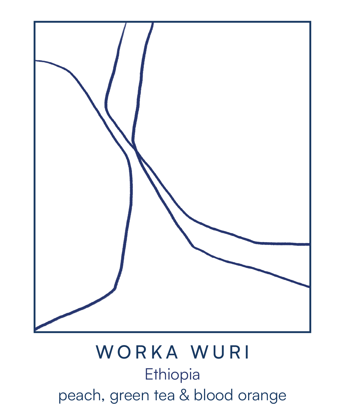 WORKA WURI