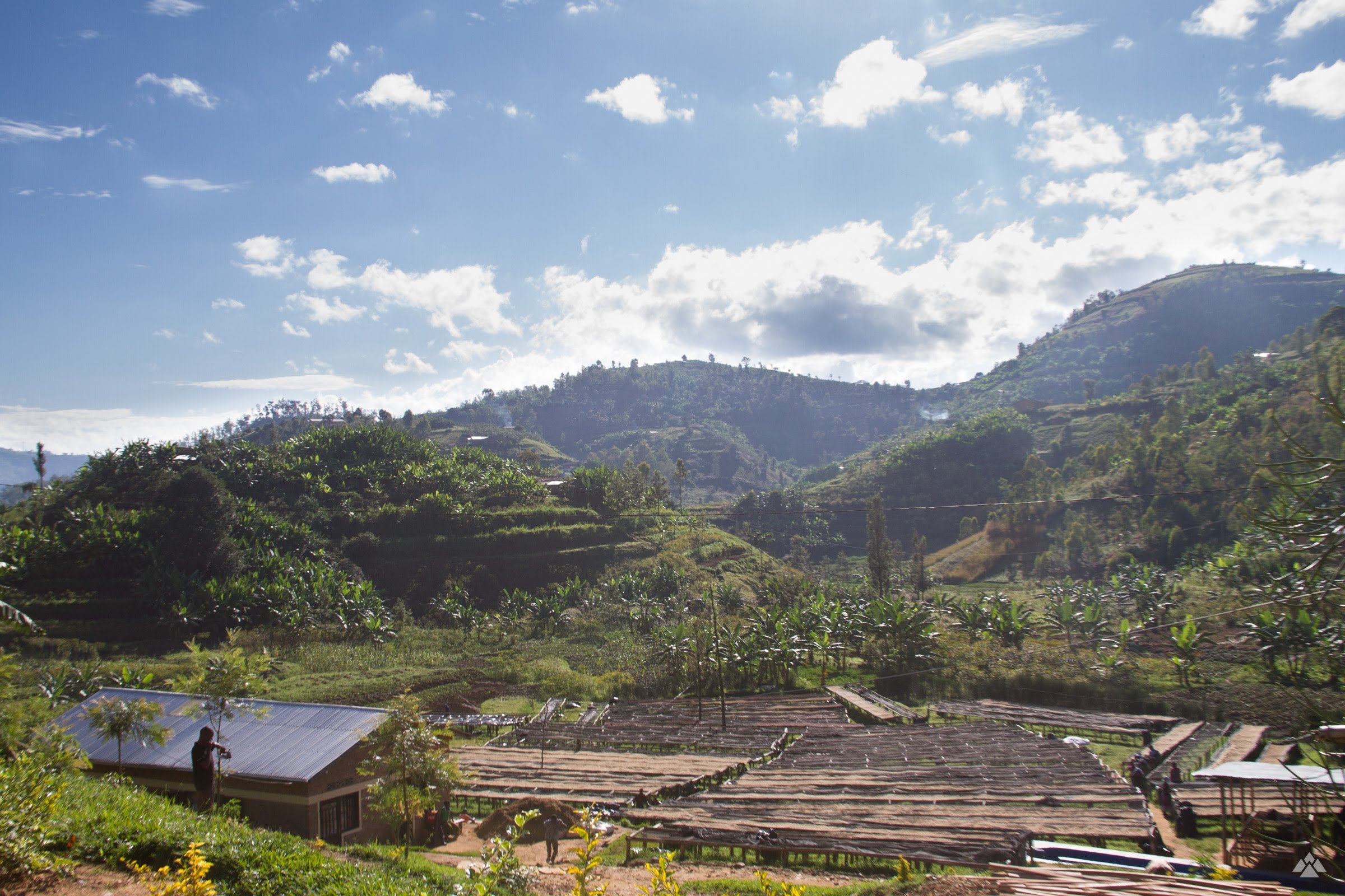 Rugali 2018 IMG_7013.jpg