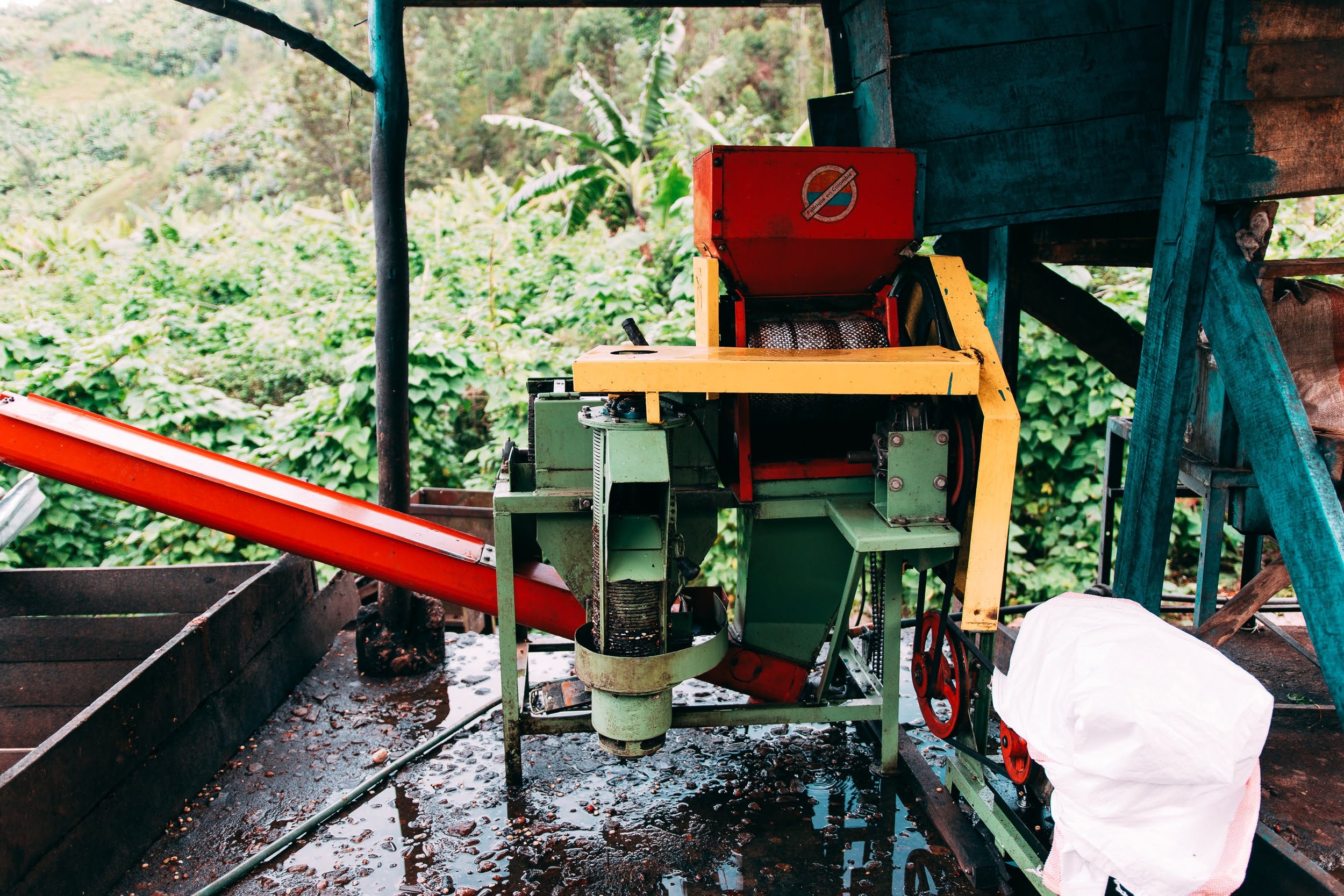 Kilimbi © Aidan Campbell 96.jpg