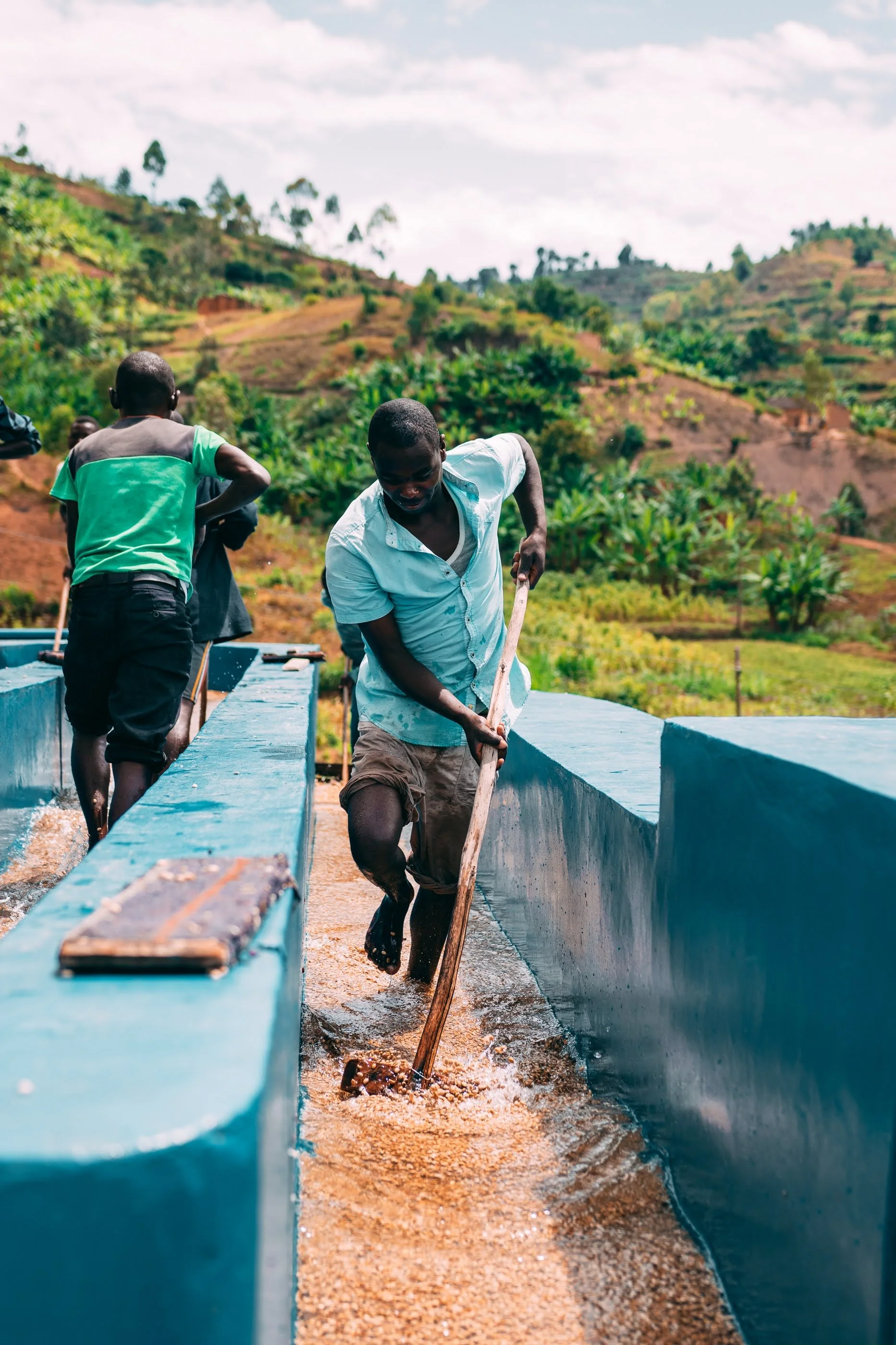 Kilimbi © Aidan Campbell 41.jpg