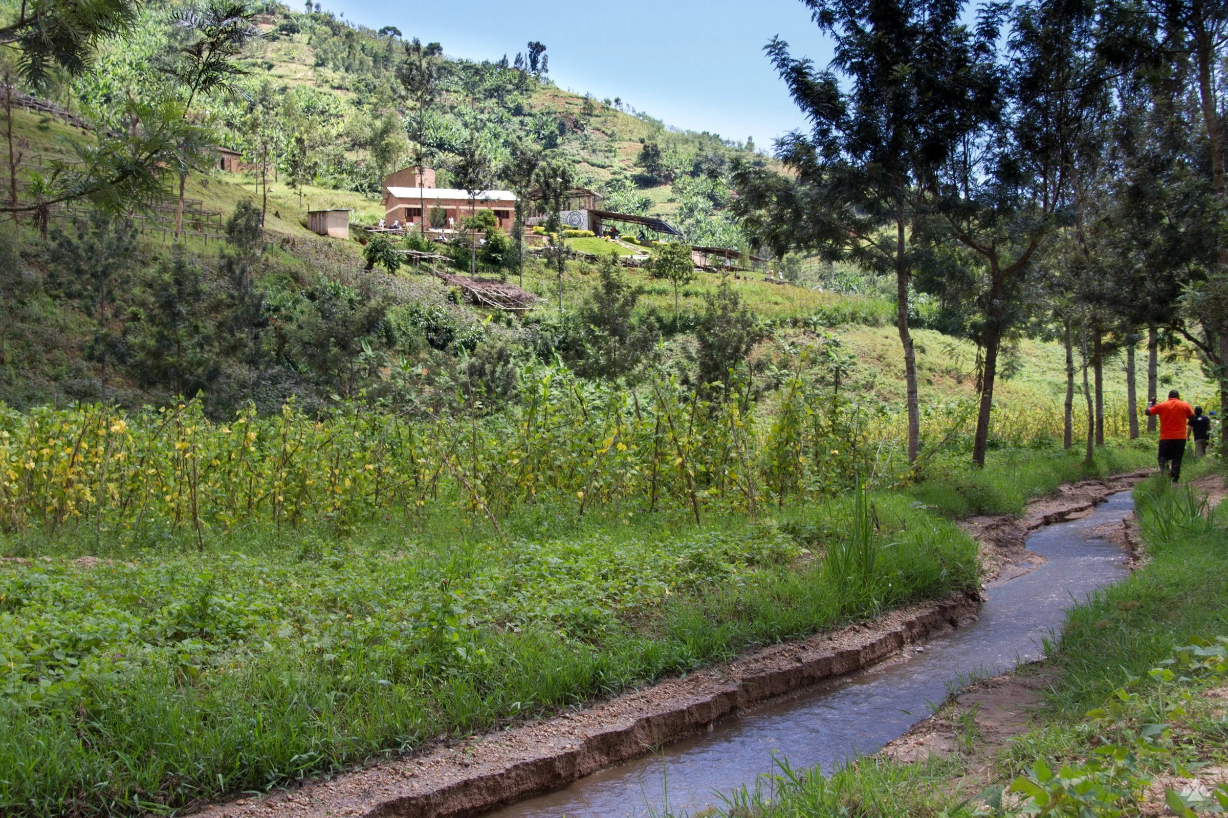 Kilimbi 2018 IMG_7121.jpg