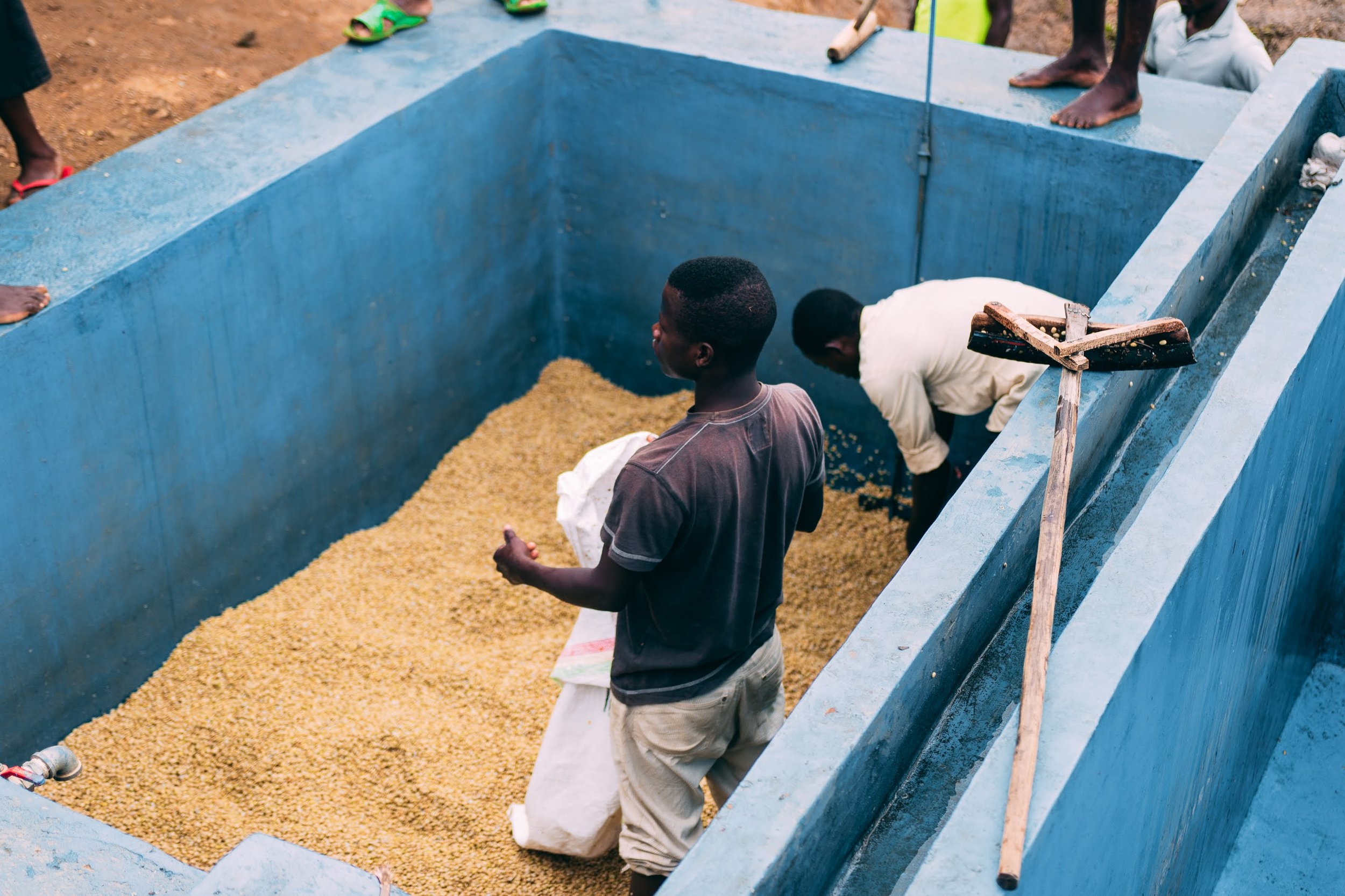 Rugali © Aidan Campbell 40.jpg