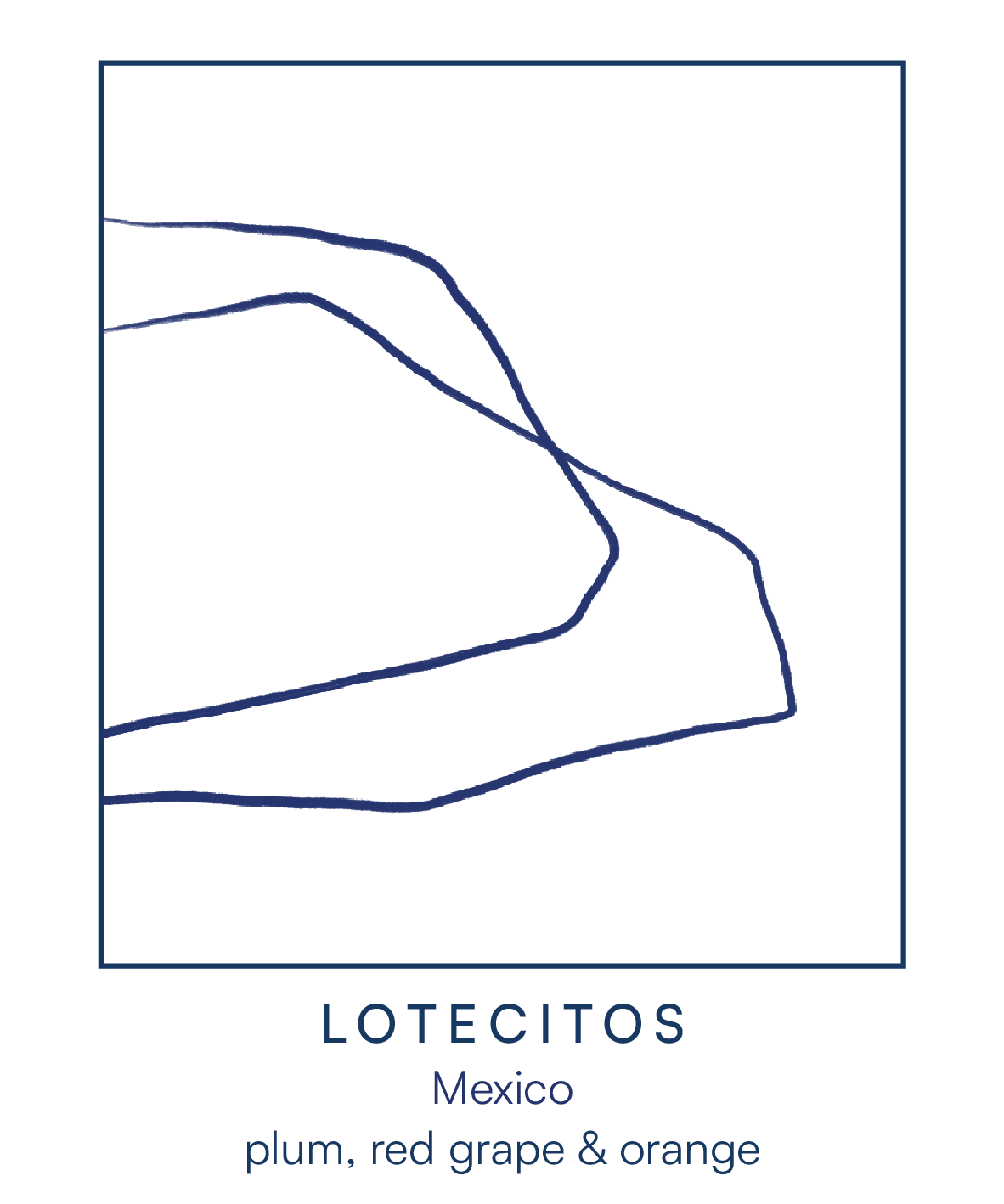 LOTECITOS