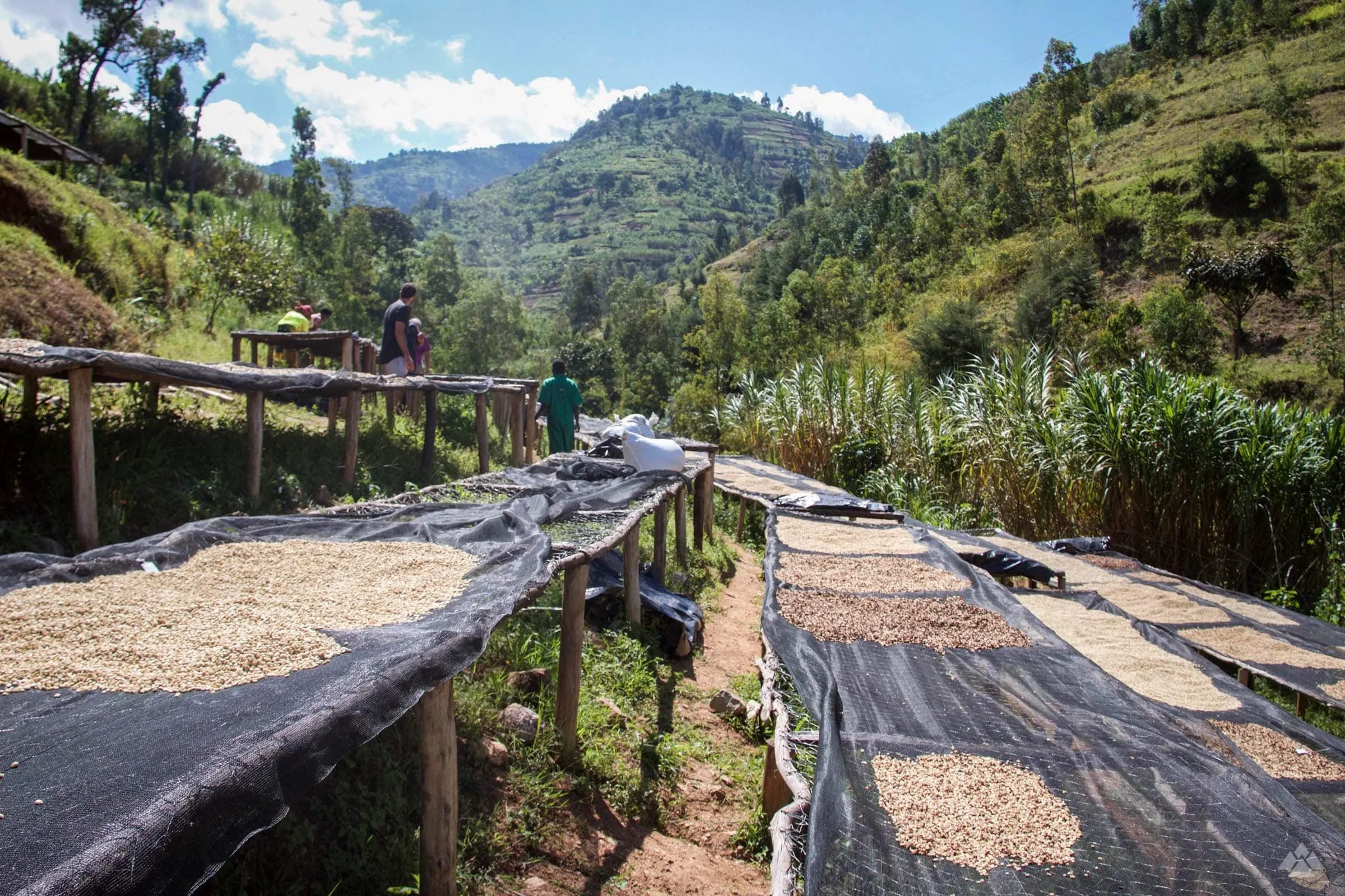 rwandamay2017-9.jpg