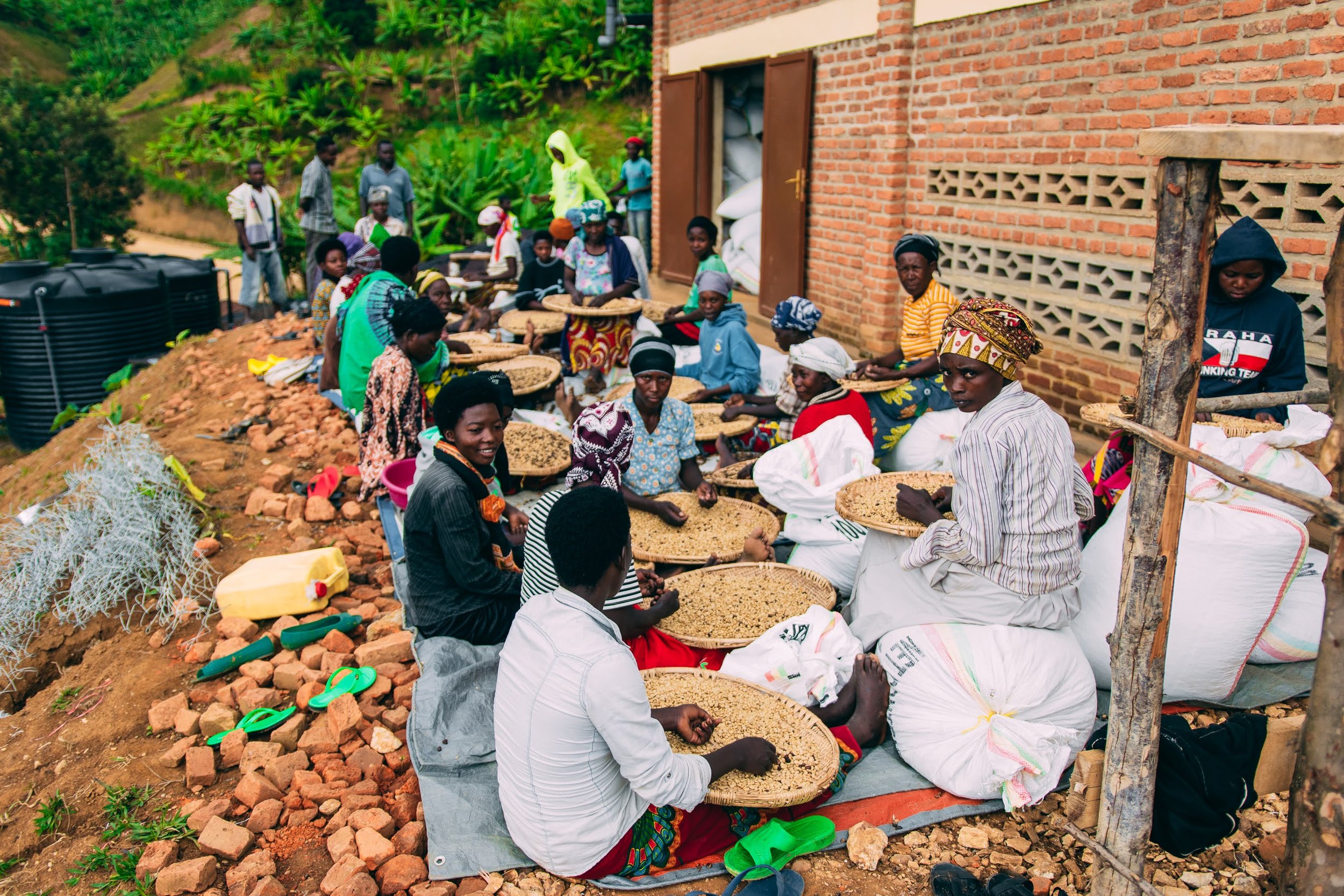 Rugali © Aidan Campbell 55.jpg