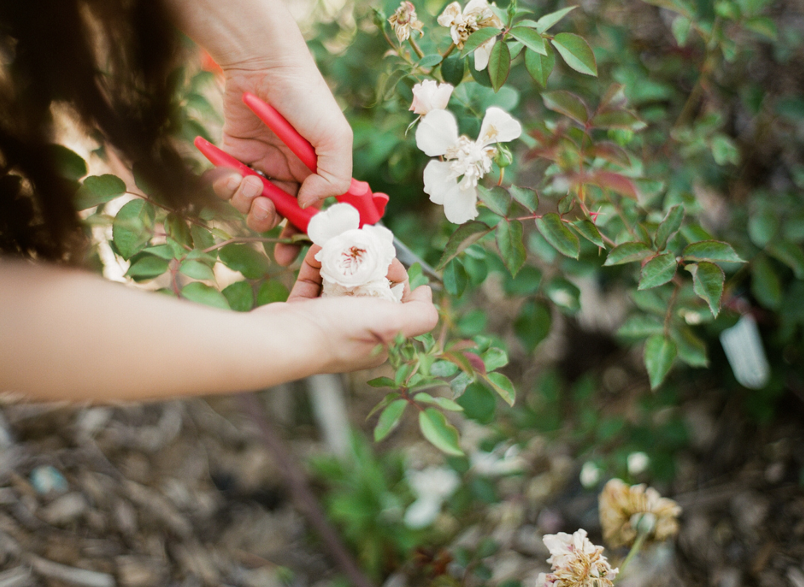 trouve_magazine_emblem_flowers_floral_design_organic_local