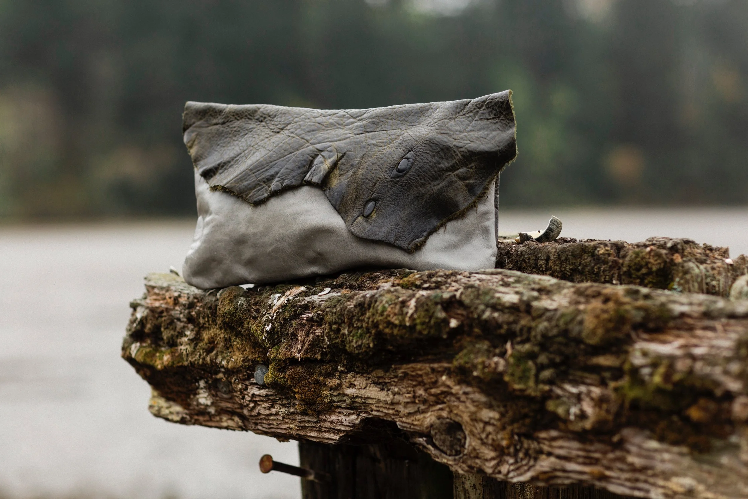 Photograph by Michéle M. Waite