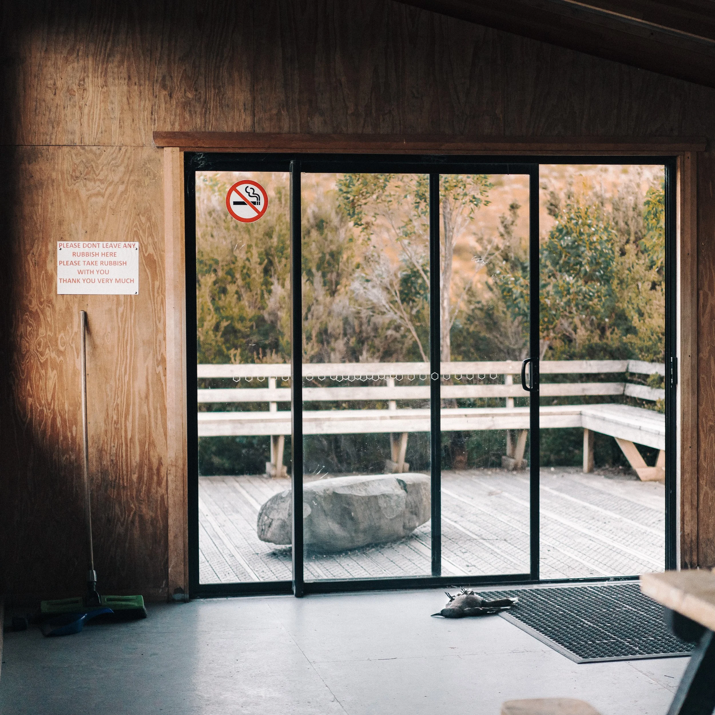 Tasmanina Honeymoon-00484-3.jpg