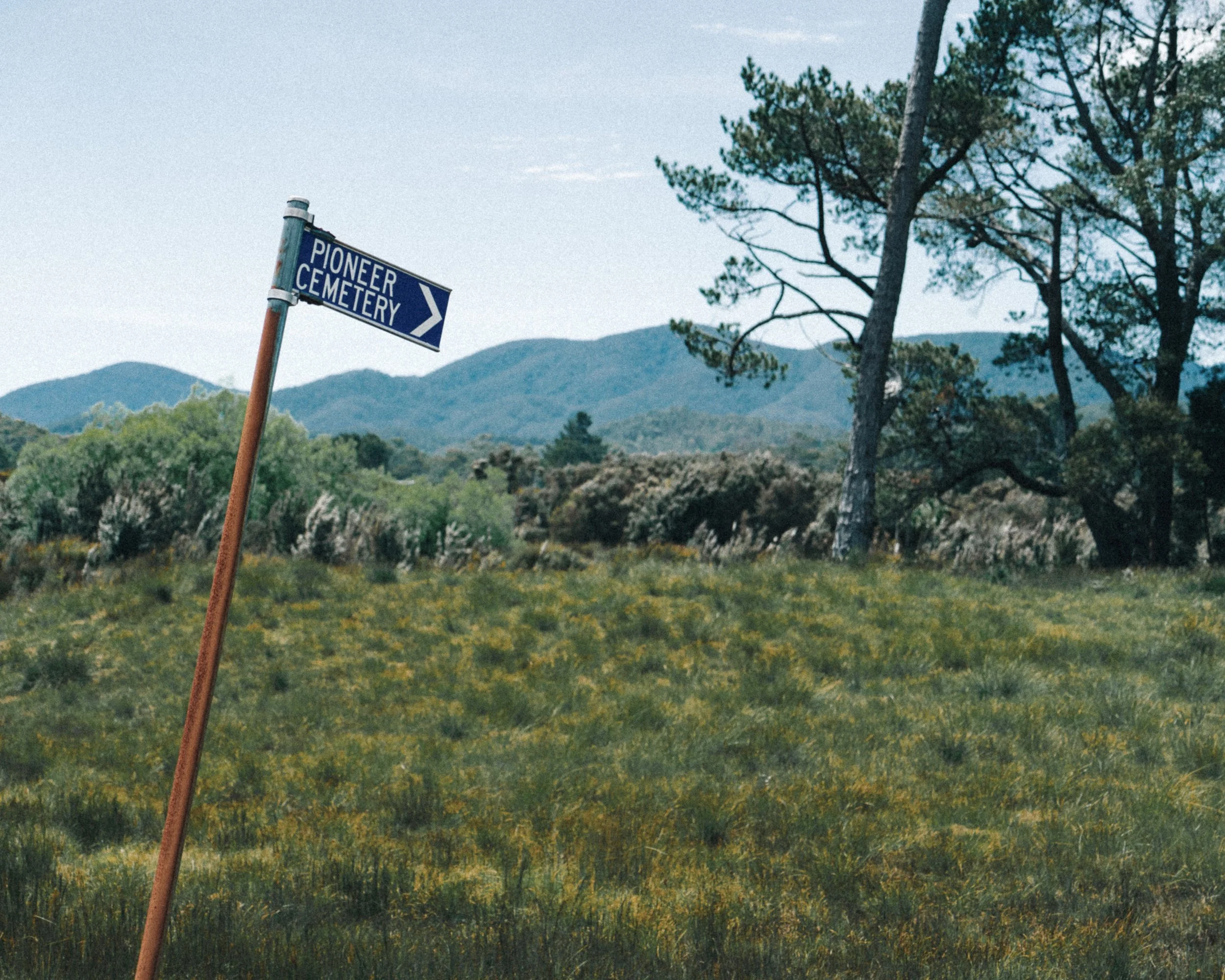 Tasmanina Honeymoon-00563.jpg