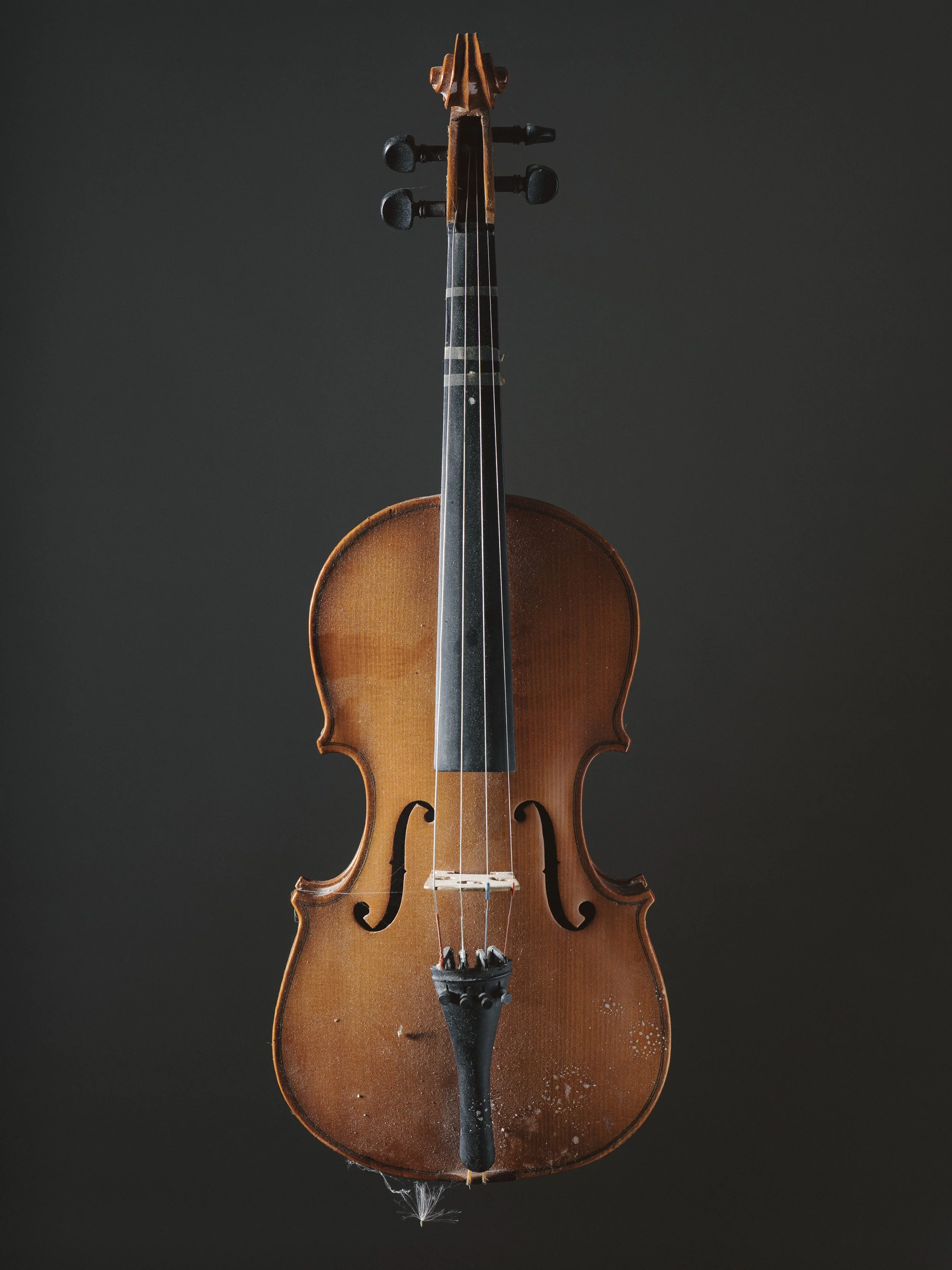 Violins (3 of 15).jpg