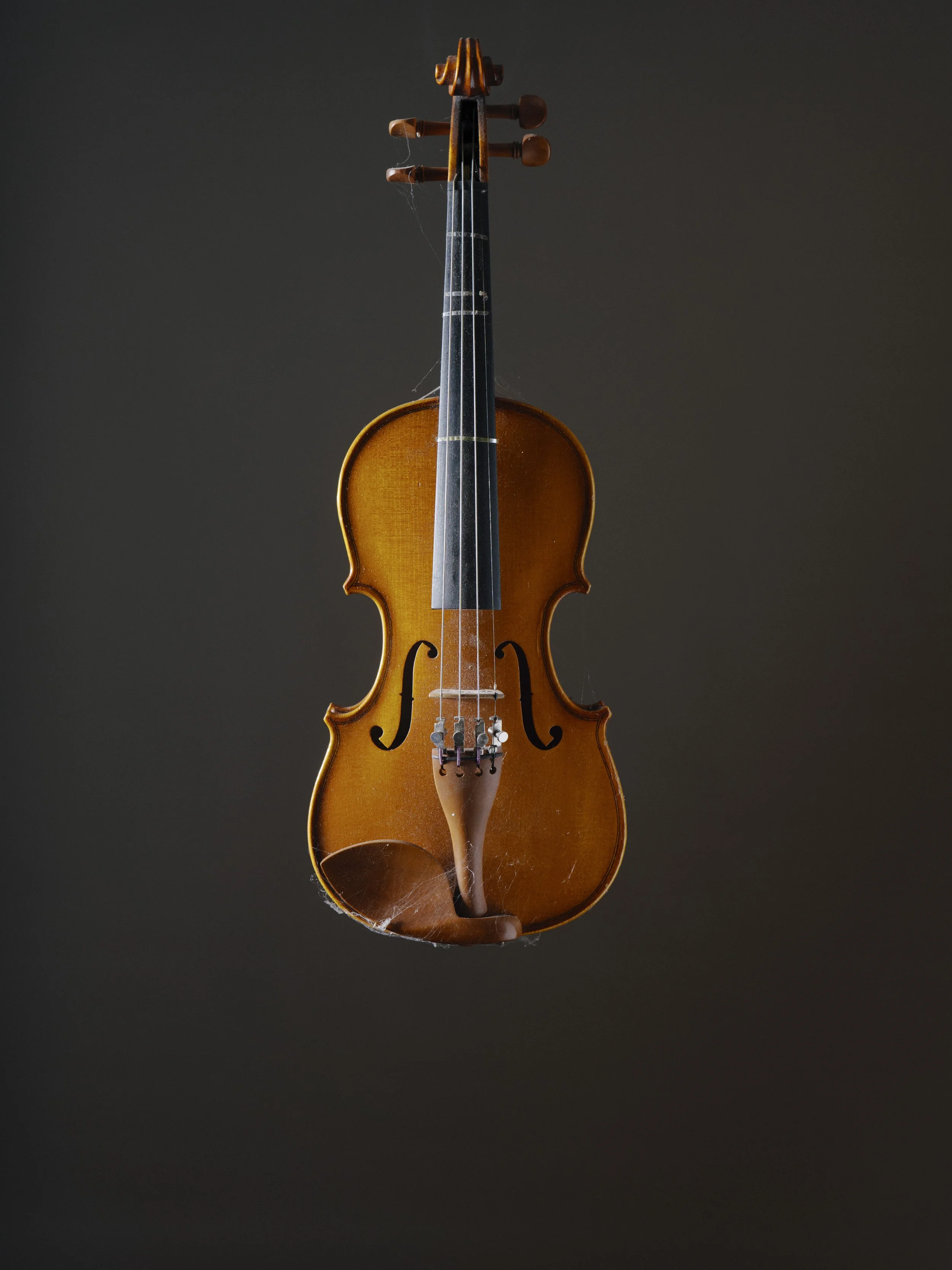 Violins (1 of 15).jpg