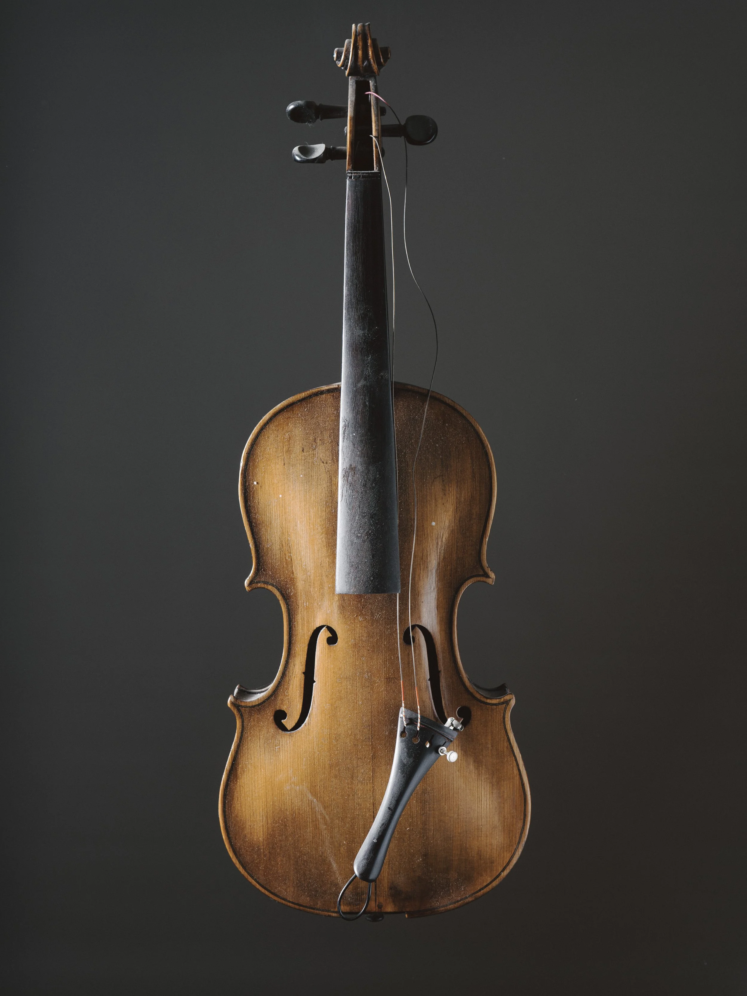 Violins (7 of 15).jpg