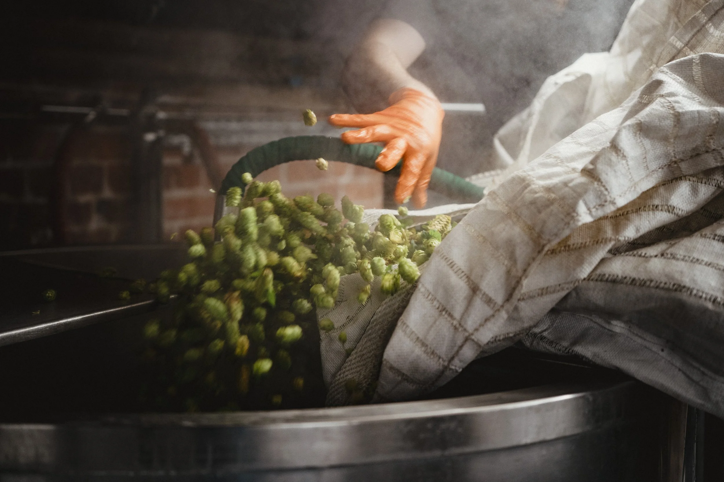 WORK_Harewood Hops_September 2025_Northern Monk-0783Web 4000.jpg