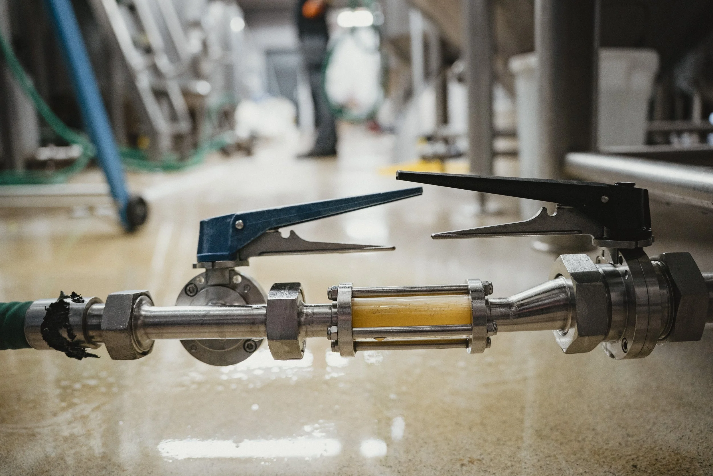 WORK_Harewood Hops_September 2025_Northern Monk-1107Web 4000.jpg