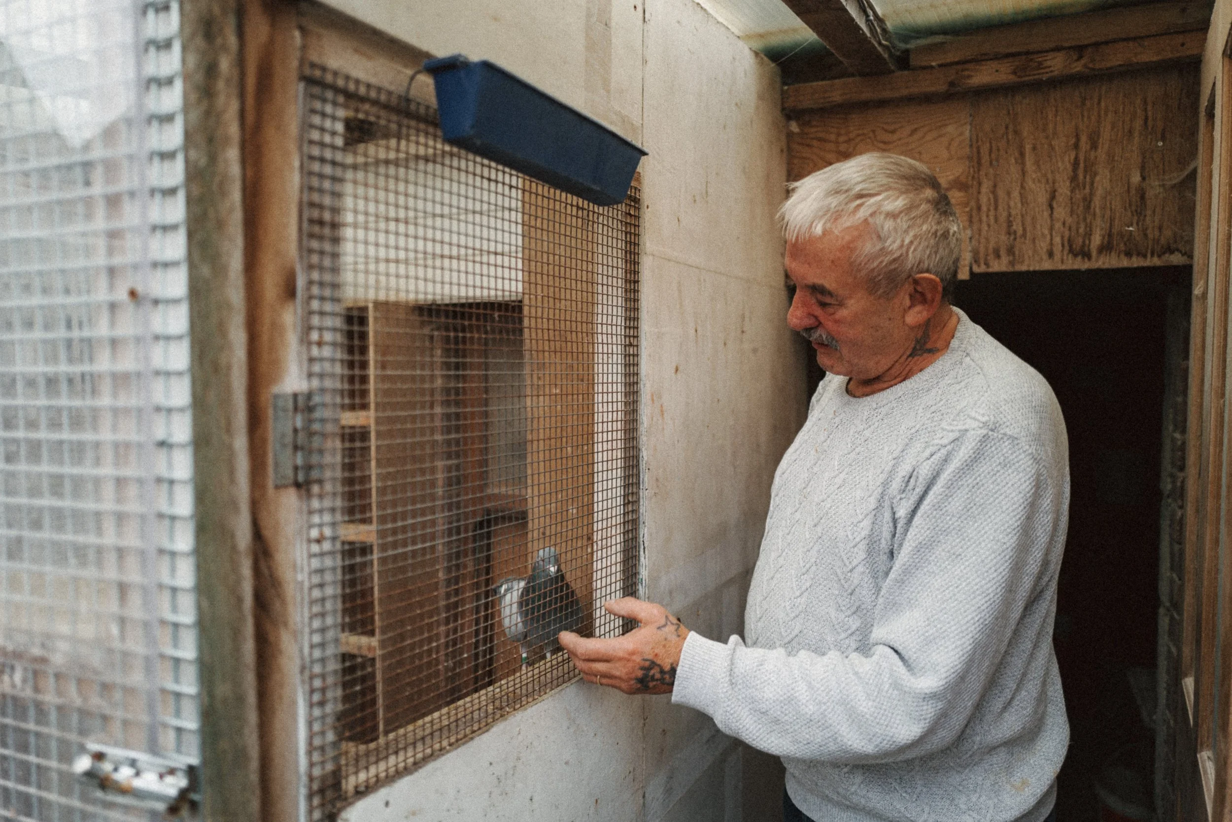 WORK_STORY_Pigeon_November 2022-1040946.jpg