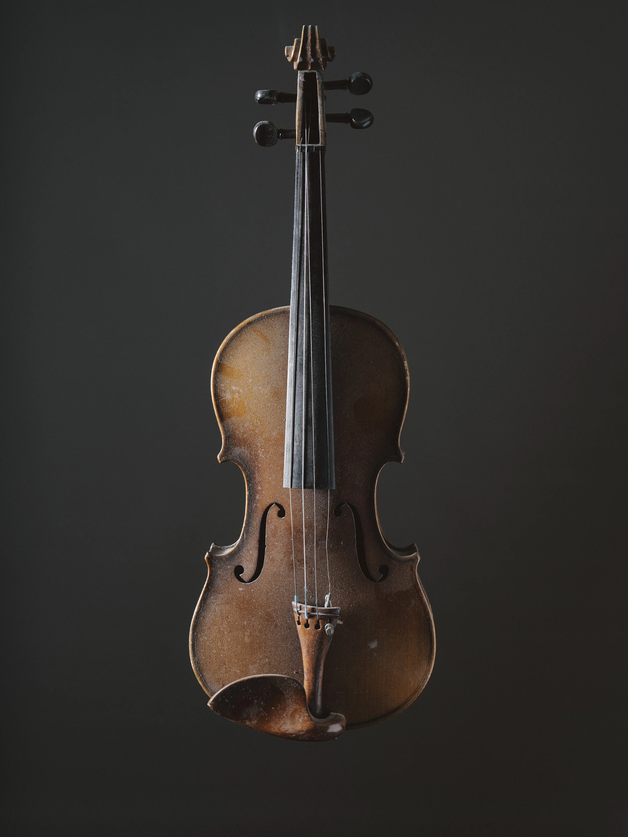 Violins (12 of 15).jpg