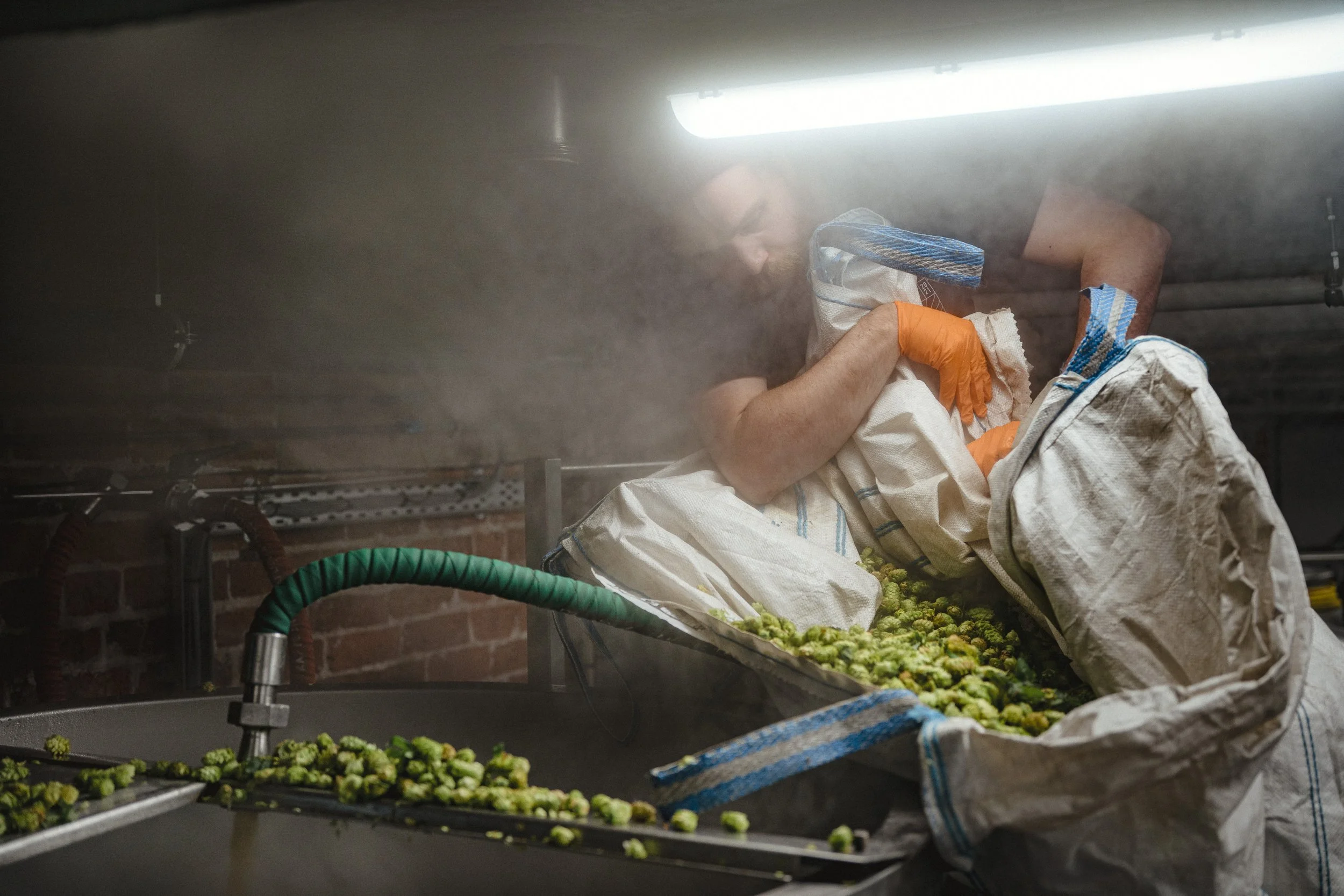 WORK_Harewood Hops_September 2025_Northern Monk-0876Web 4000.jpg