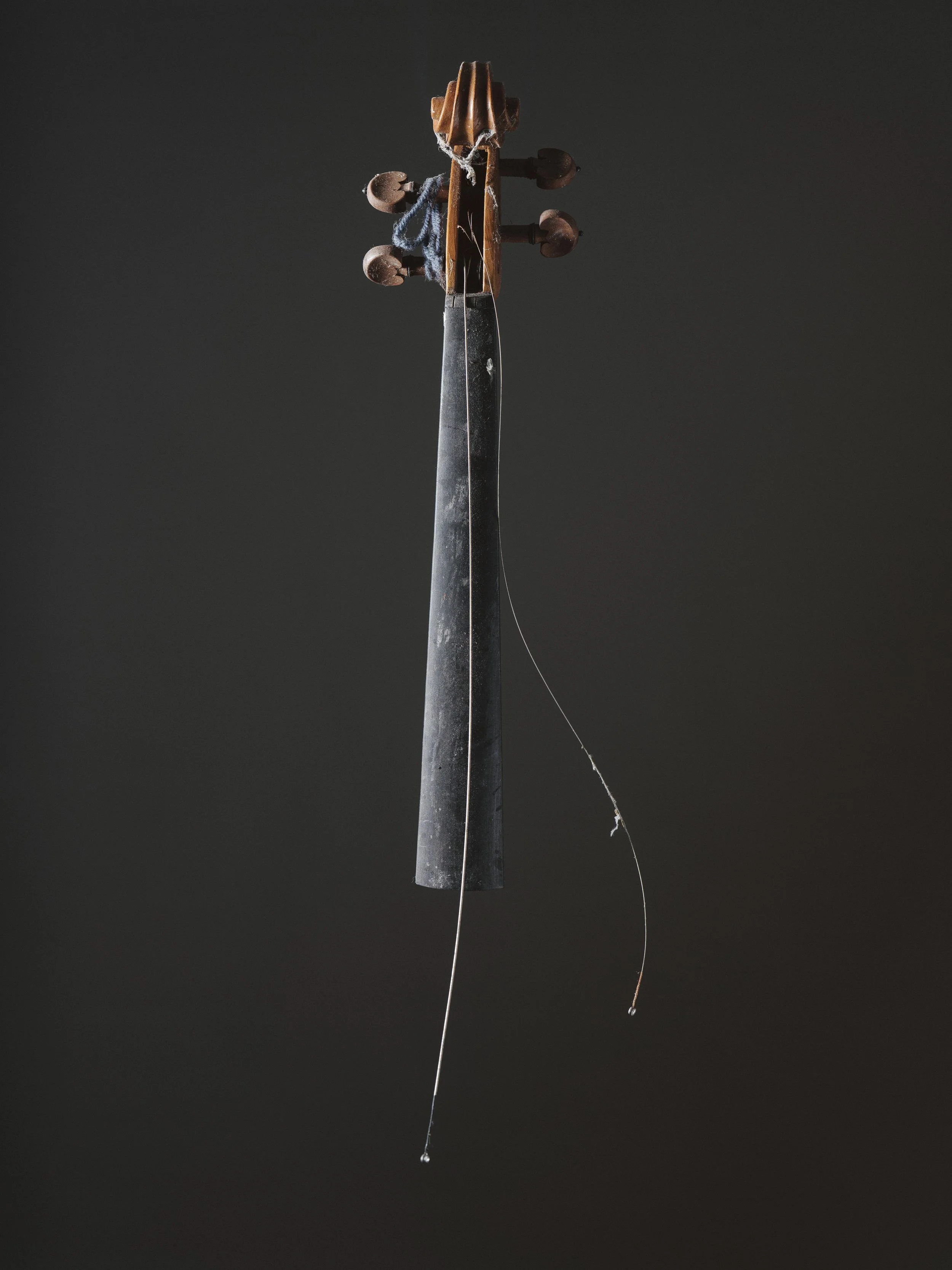 Violins (2 of 15).jpg