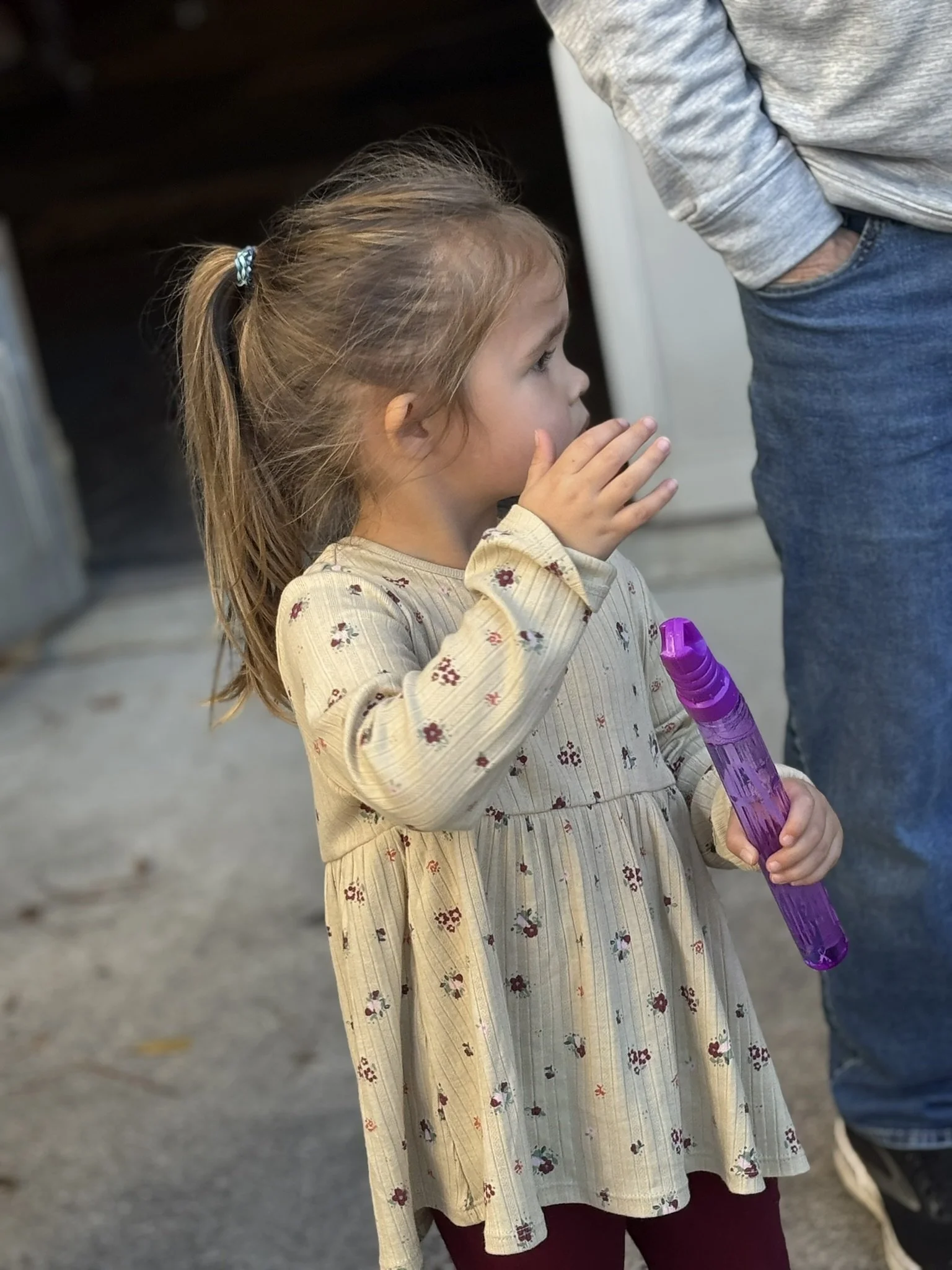 Through our community partnerships, like PBS, Wilson Arts, and the Wilson County Public Library, our participants and their families are able to feel seen and included in community events.  We are able to educate the general public about i/dd to brin