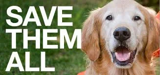 Save them all.jpg