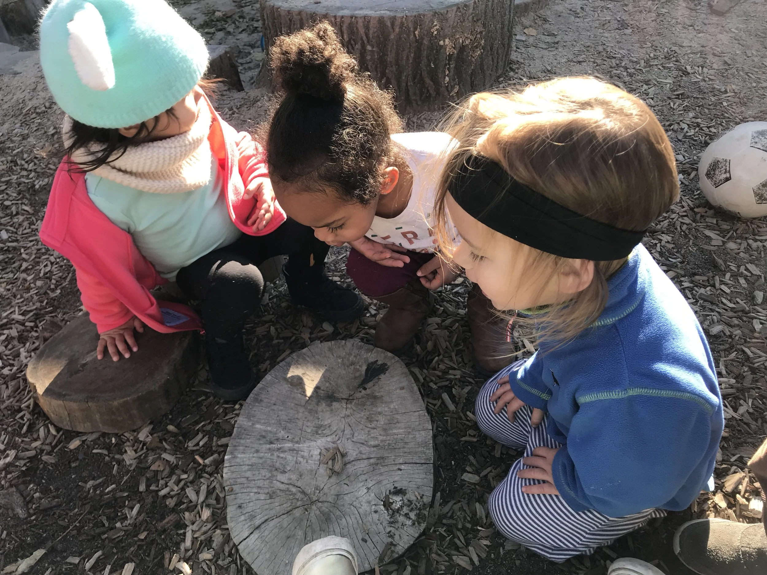 mcs ri toddlers exploring the outdoor classroom