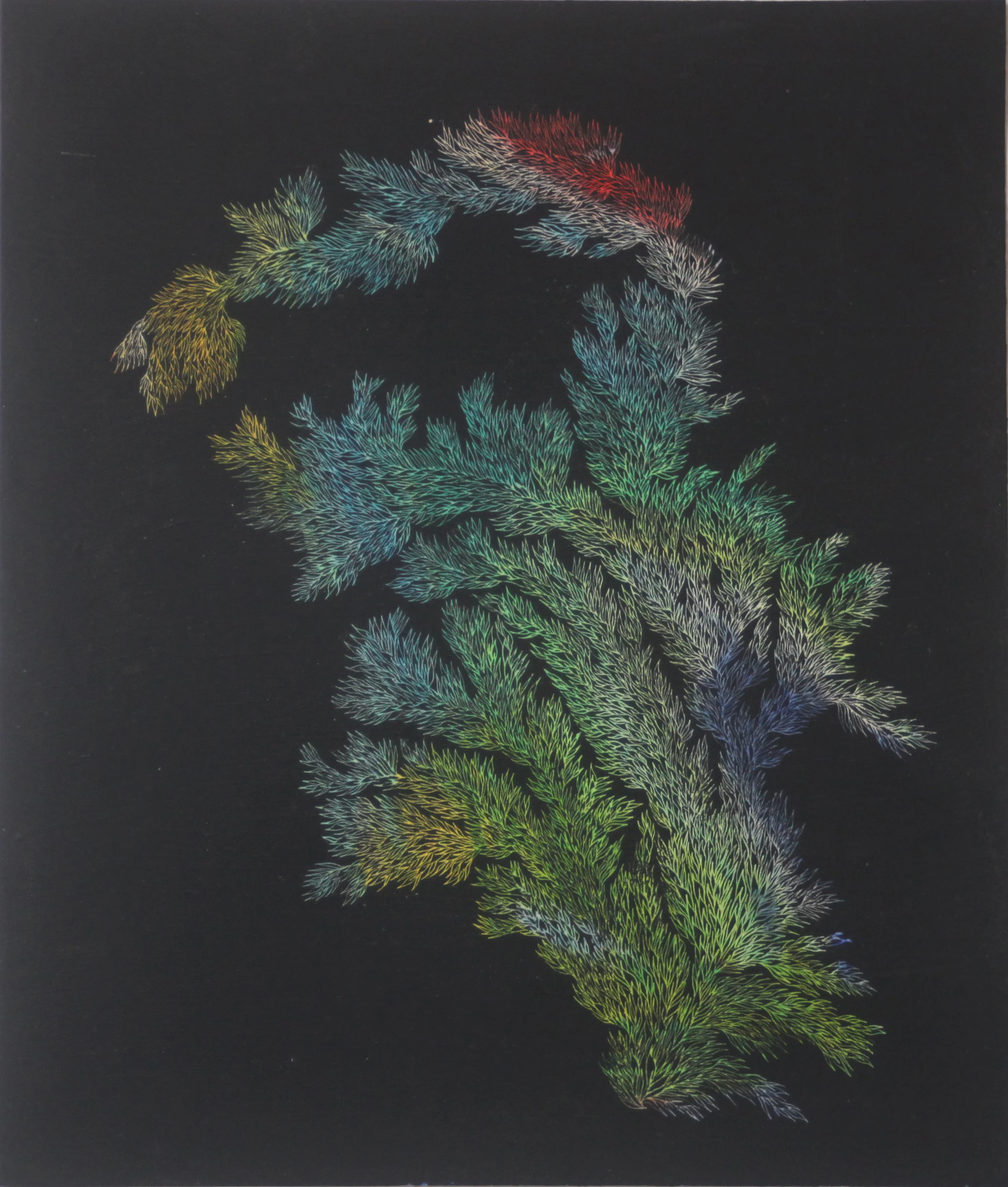 Pastels on Paper, Oil on Needle , 2016 (cm 19,1 x 22.5)