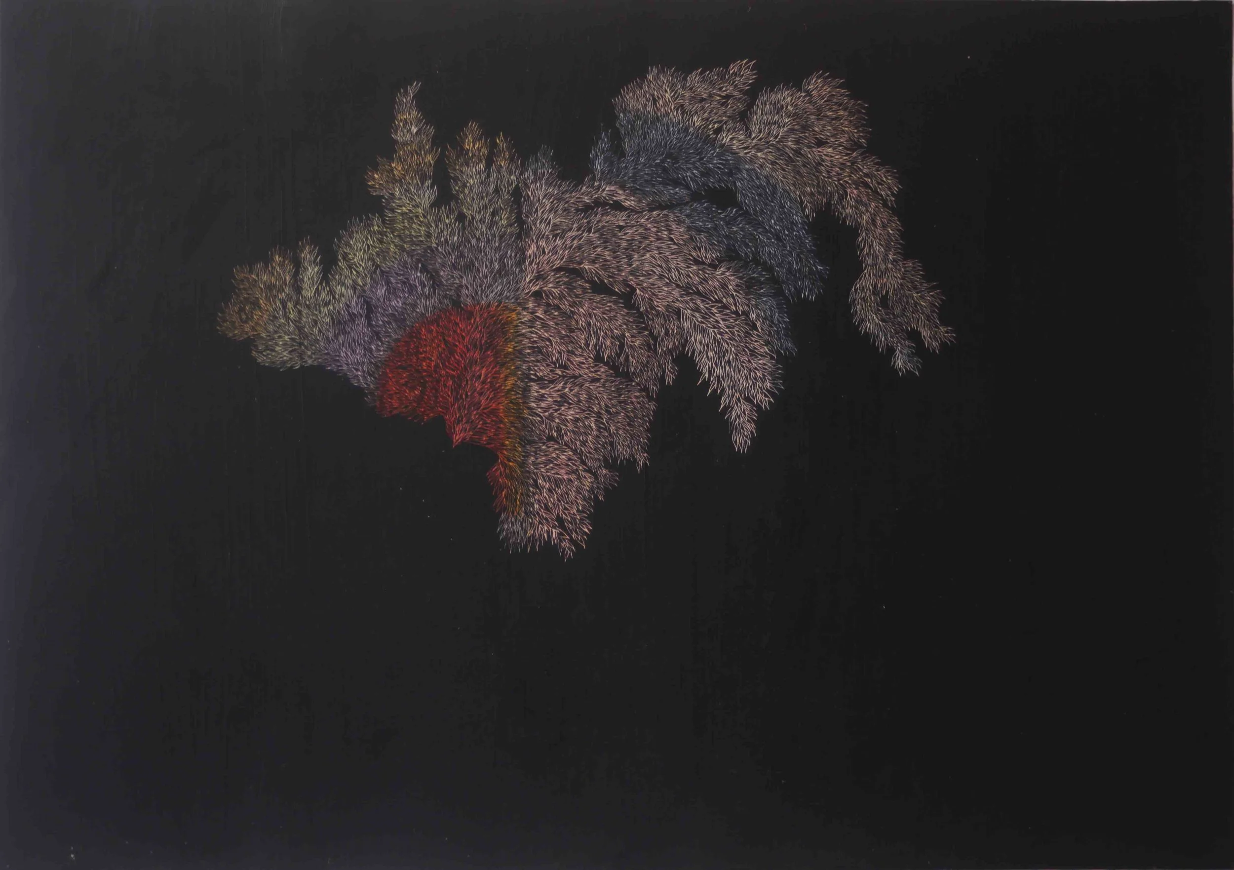 Pastels on Paper, Oil on Needle , 2016 (cm 41.8 x 29.6)