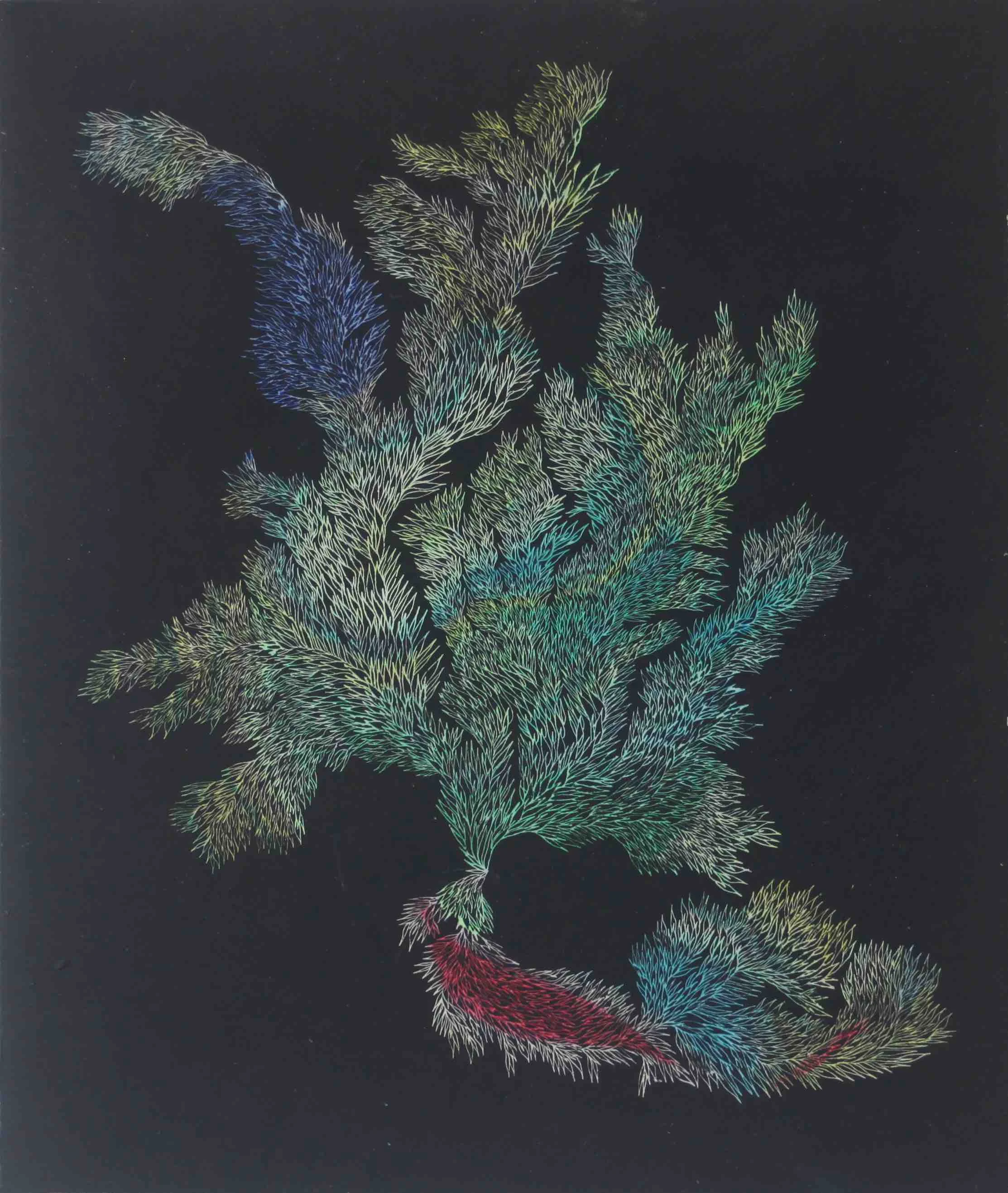 Pastels on Paper, Oil on Needle , 2016 (cm 22.3 x 19)