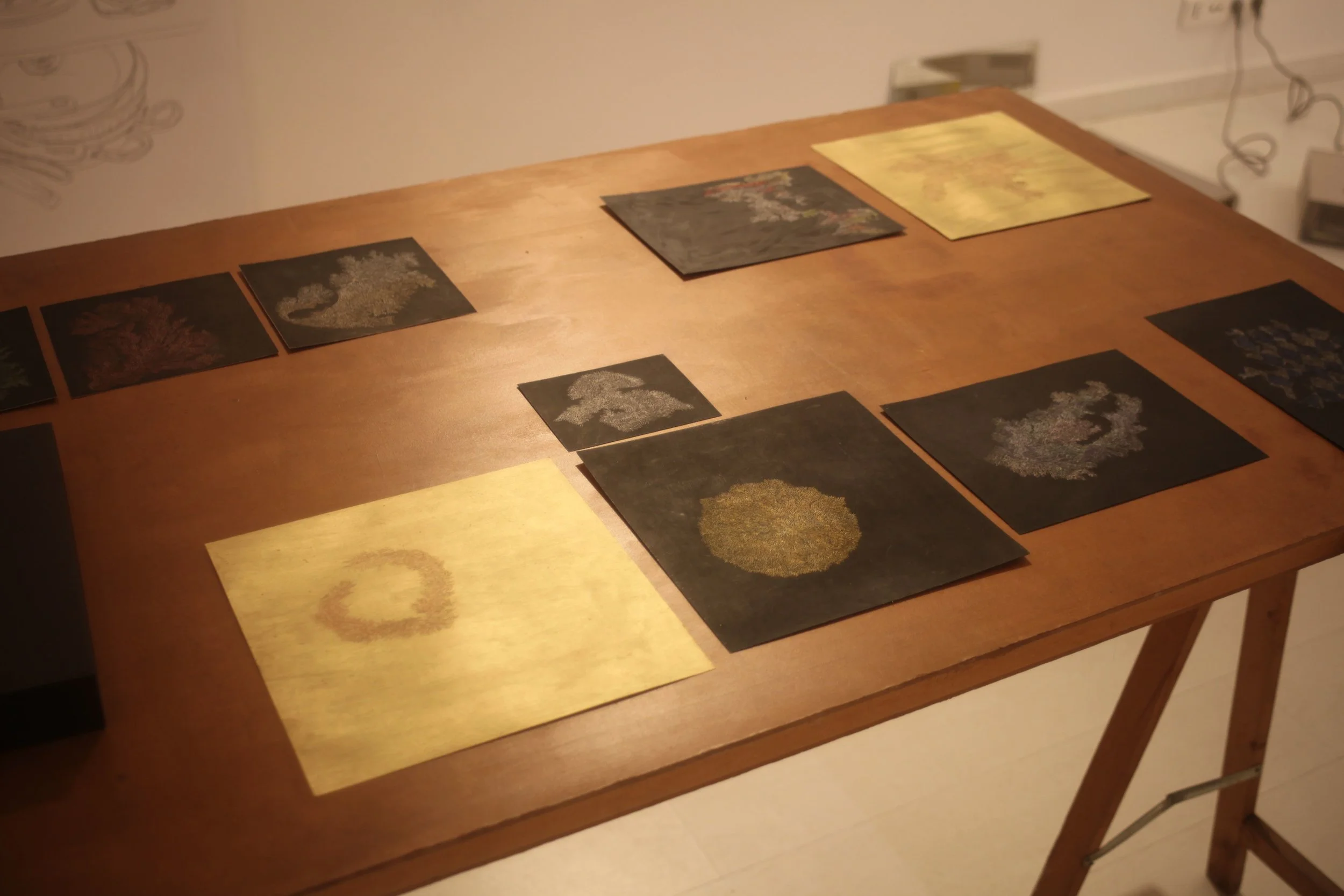 Pastels on Paper , Oil on Needle , 2017 Installation View during Quelque chose comme le dessin at L'Entrepôt Daniel Boeri Gallery, Monaco, MC. From bottom left to up right counterclockwise: 24,8 x 24,7 cm, 11,9 x 10 cm, 22,9 x 22,6 cm, 23,4 x 17,4 cm, 23,6 x 17,4 cm, 24,7 x 24,6 cm, 17,4 x 23,4 cm, (3x) Neglected Colors , 2016 each 15,9 x 15,9 cm