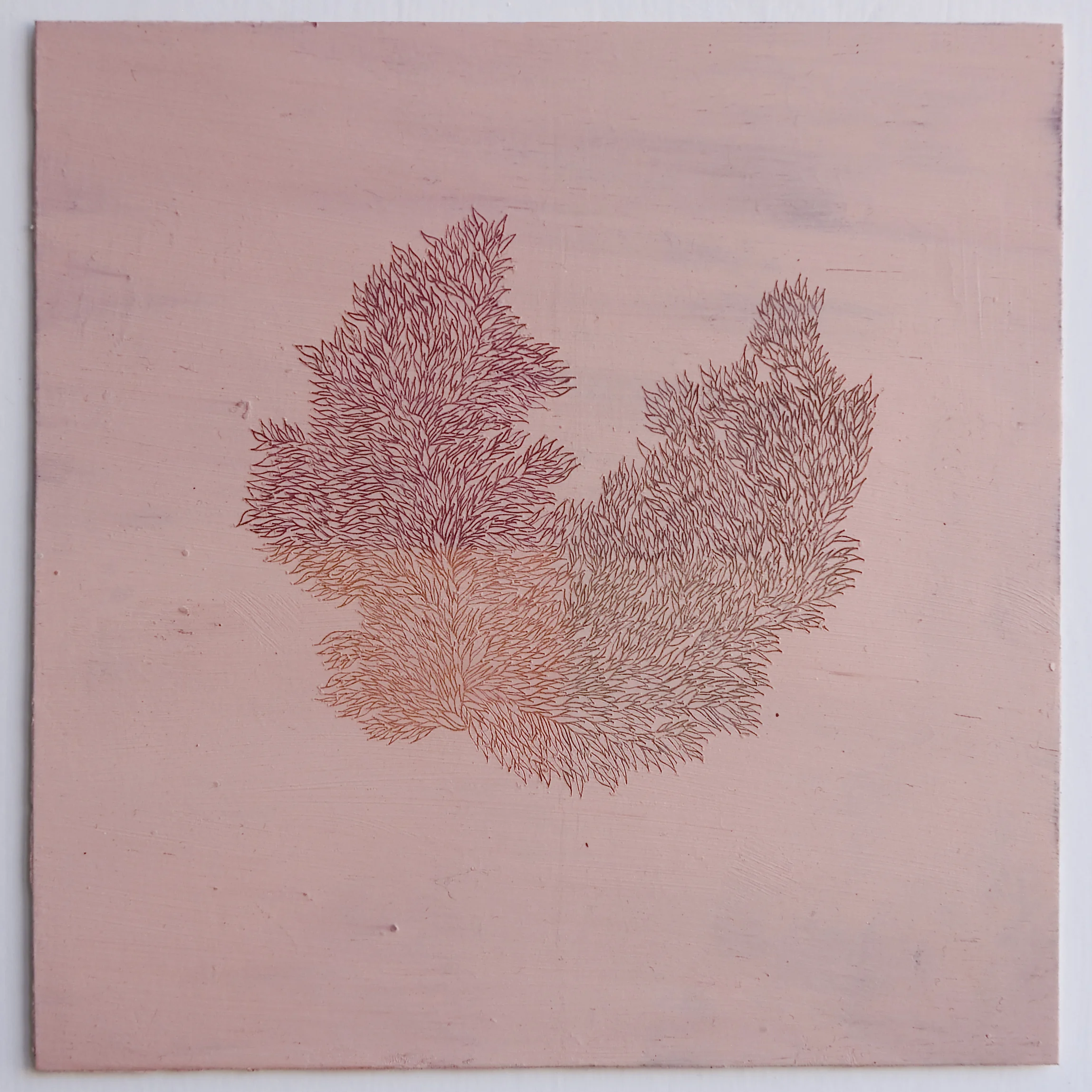 Quadrati Magici , 2018 Akademie Schloss Solitude, Stuttgart, DE (12,3 x 12,4 cm)