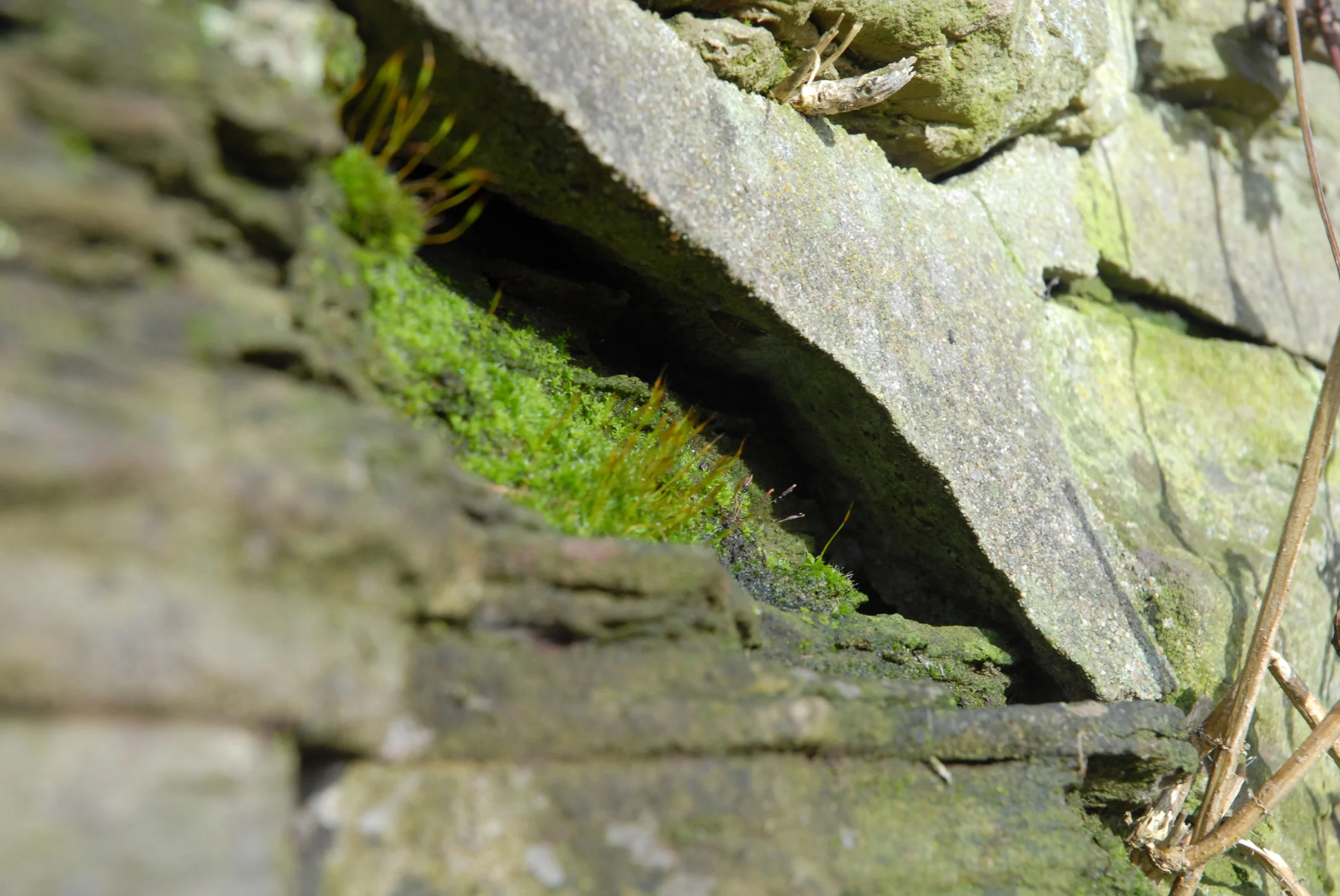 79_0069.JPG