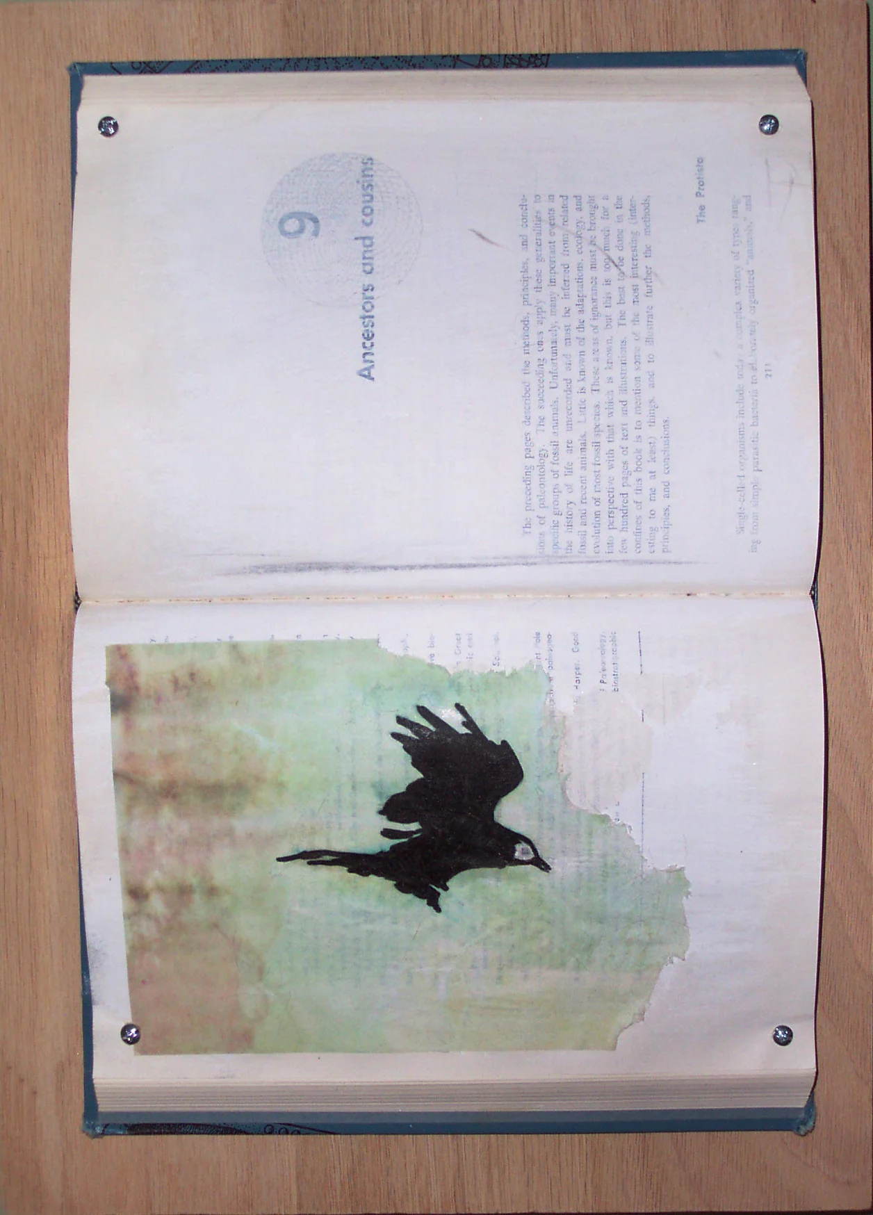 AsTheCrowFlies2.jpg