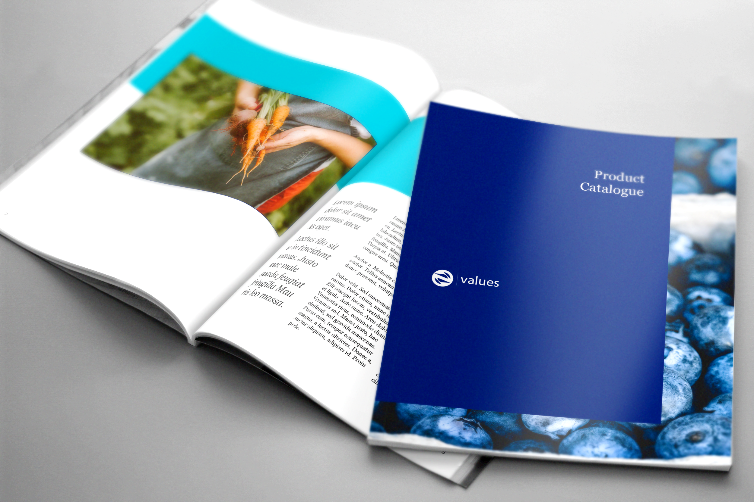 Brochure-Cover.png