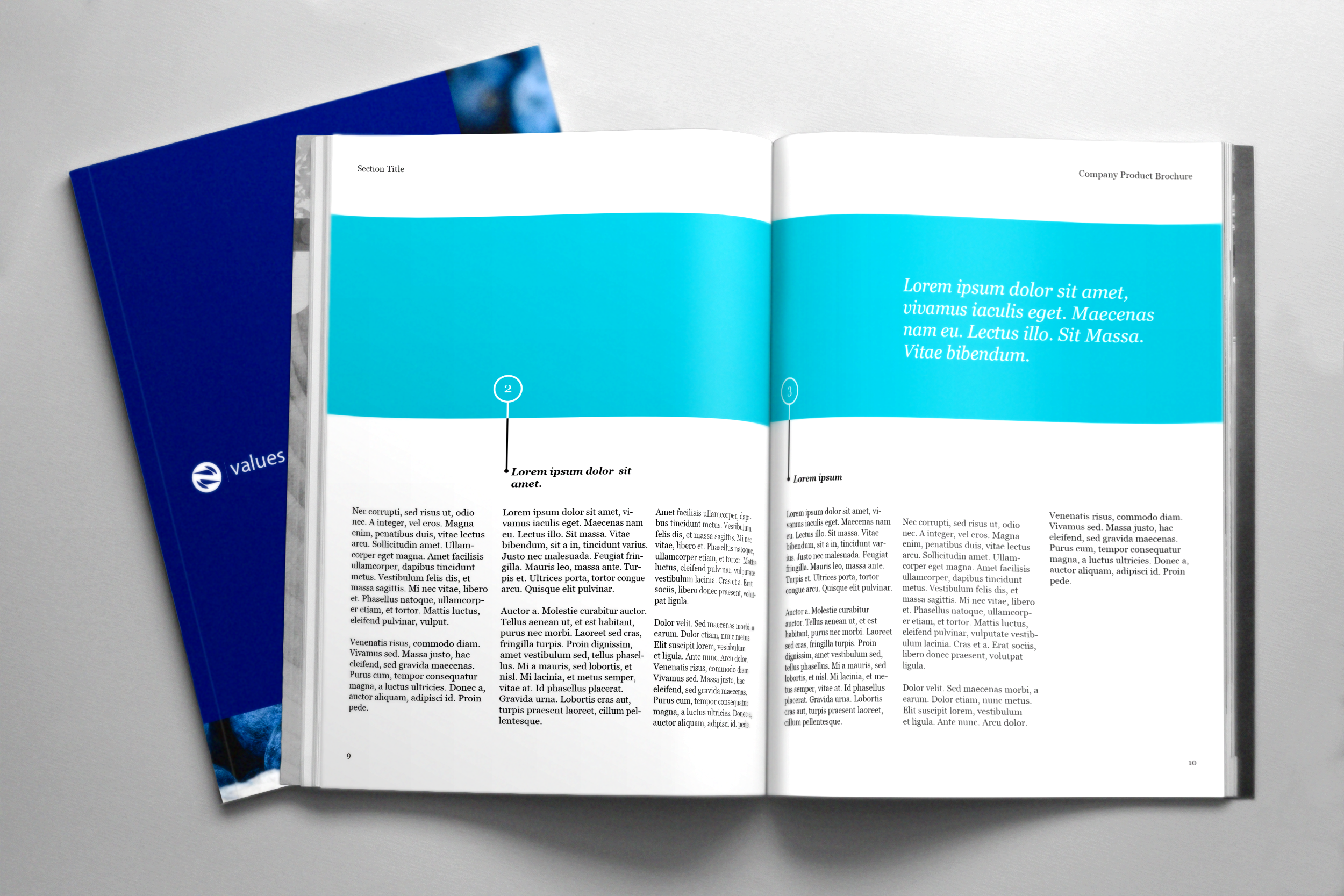 Brochure-5.png