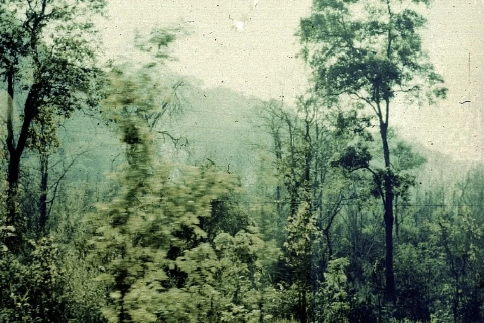coldspring2006.jpg