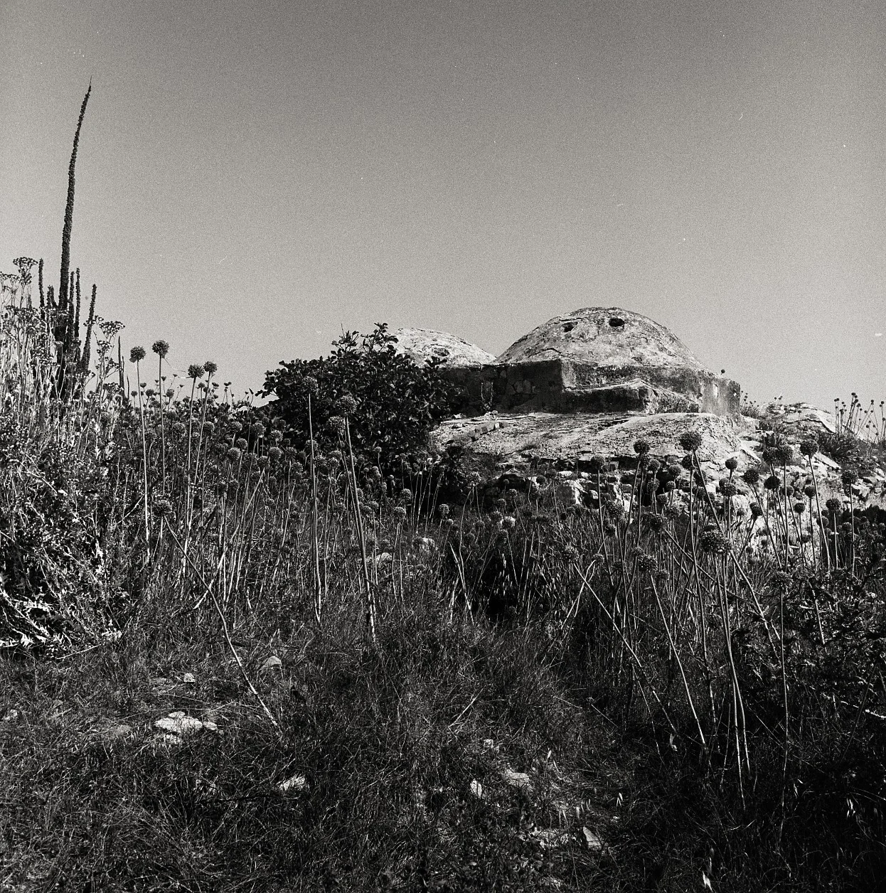 greece018.jpg