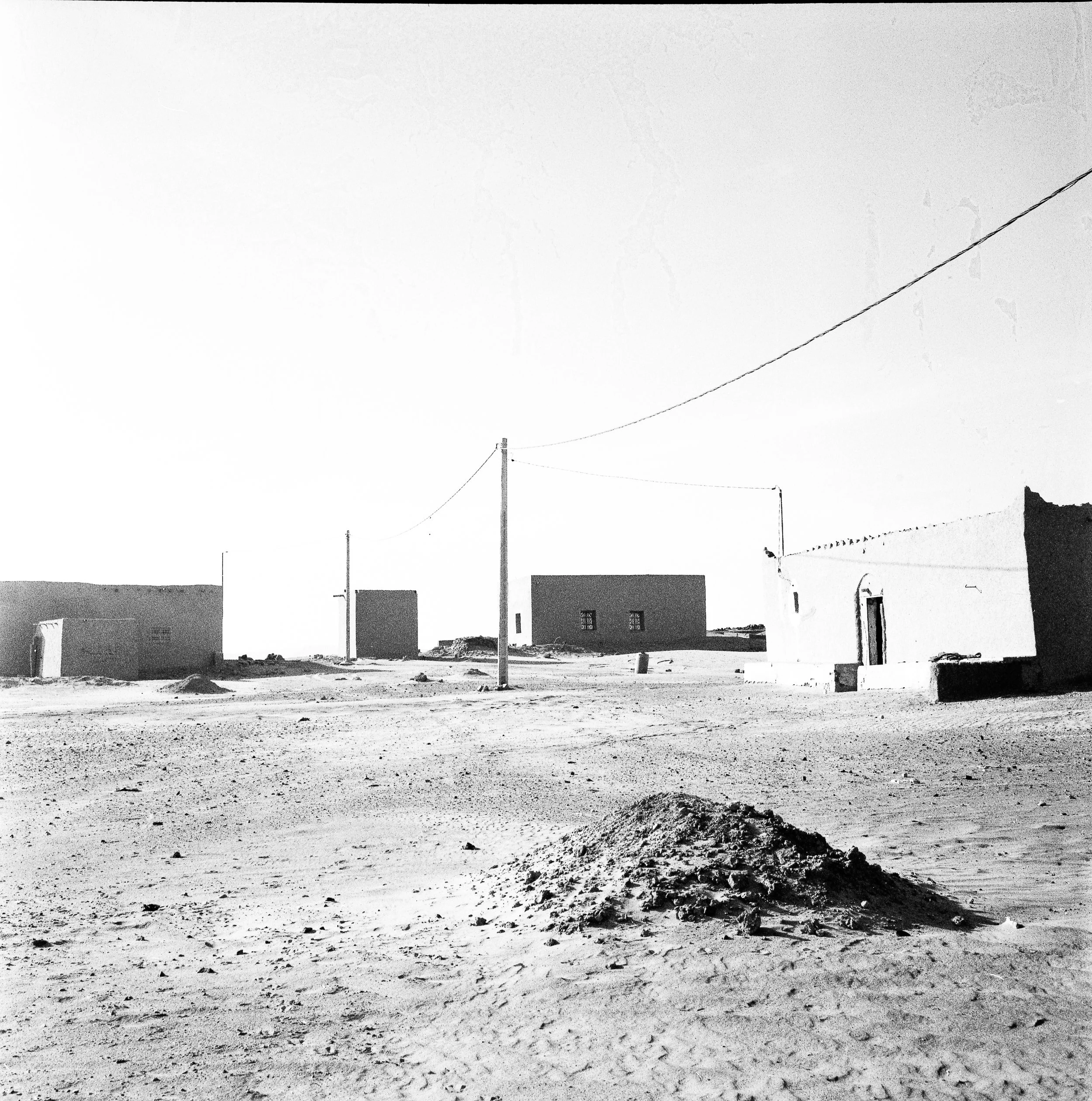 ergbright-1.jpg