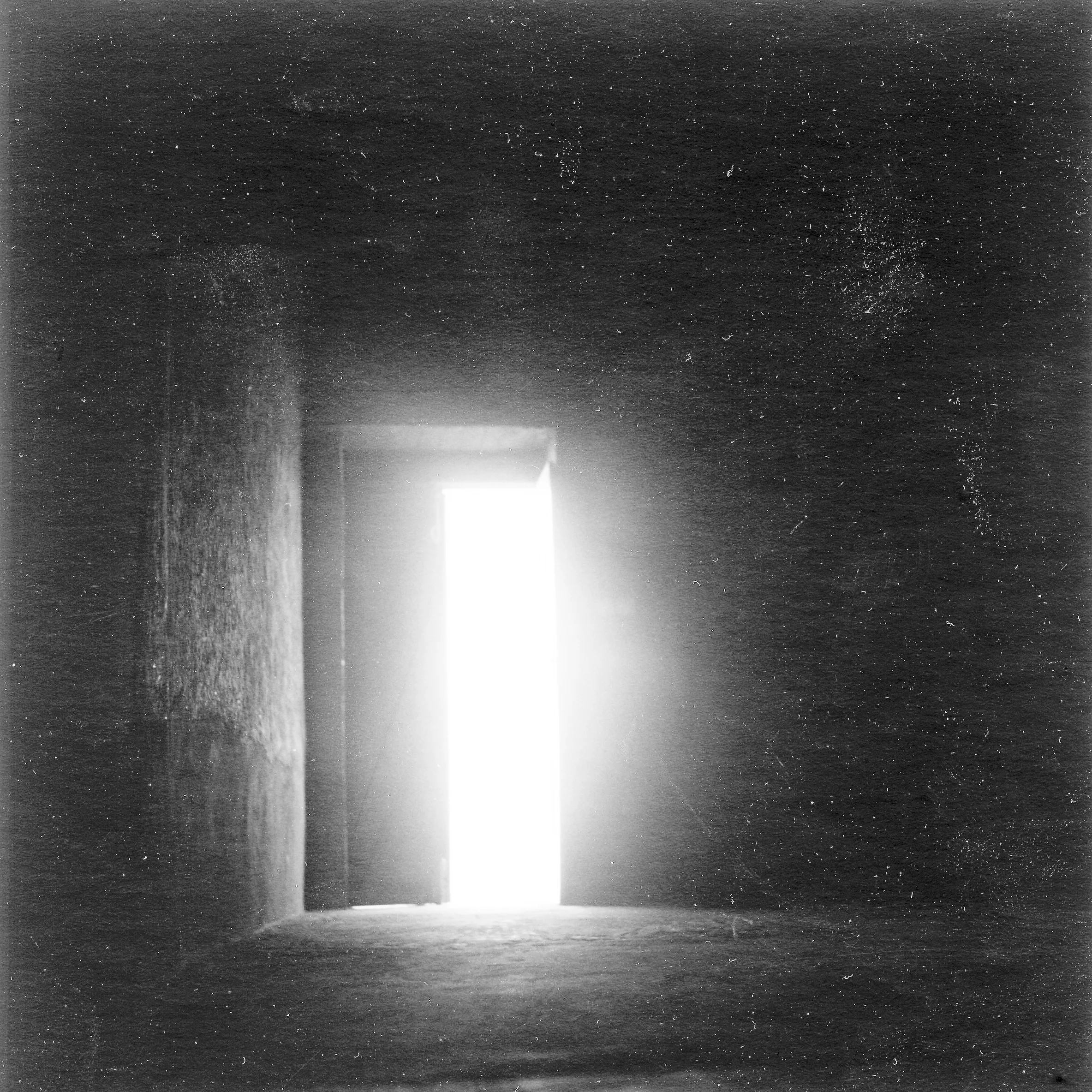 ergbright-12.jpg