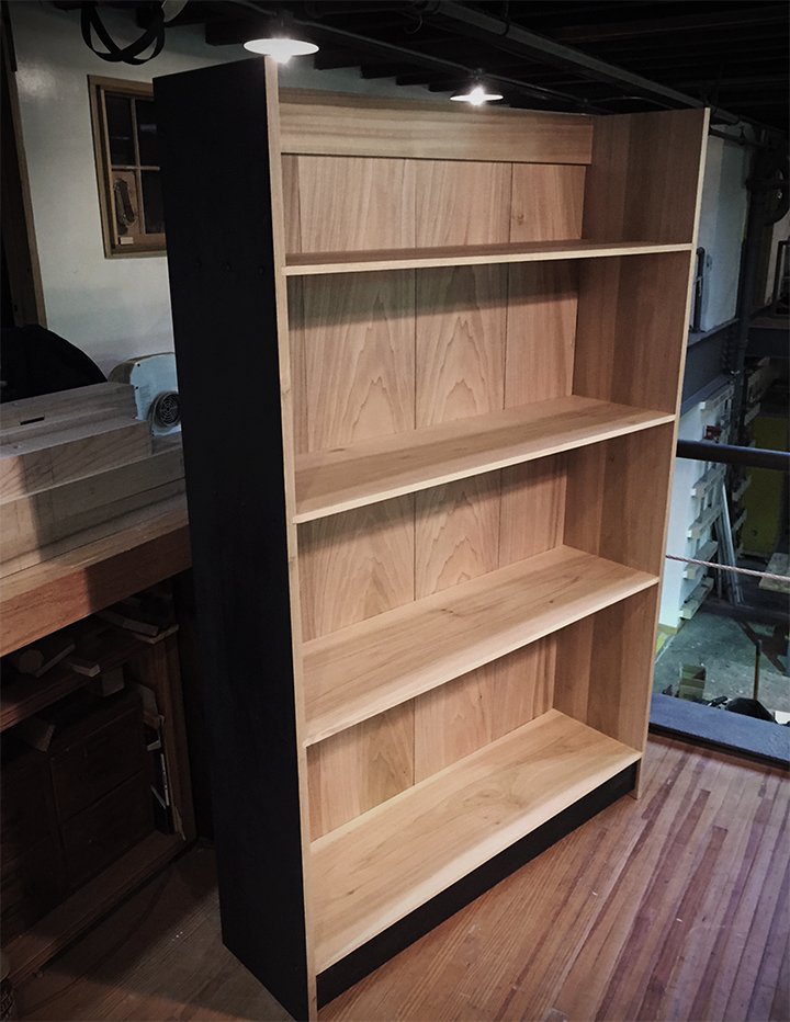 bookcase-thin copy.jpg