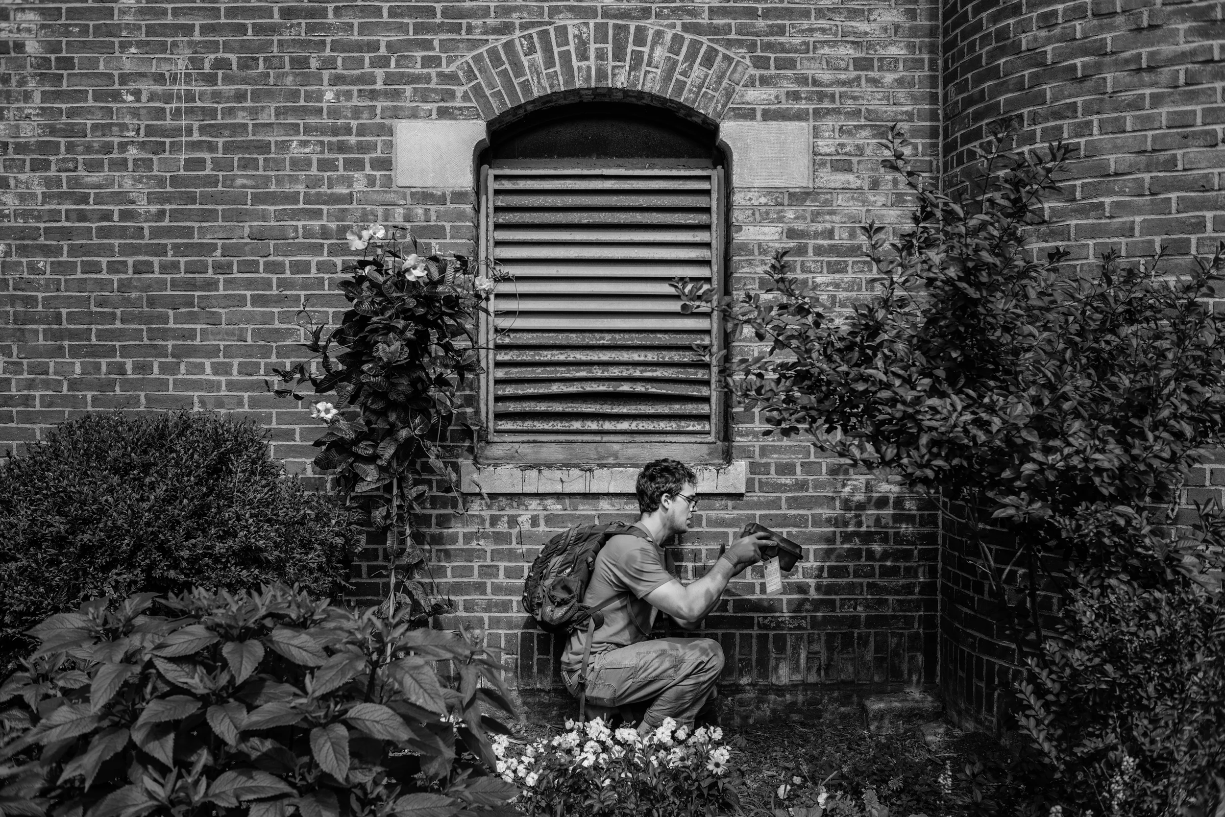   Otis Wood checks a trap on Bradhurst Ave near 147th st. &nbsp;Two teams of two Fordham University students began setting non-poisonous rat traps at the beginning of the summer. &nbsp;The traps are set using a combination of peanut butter, bacon bit