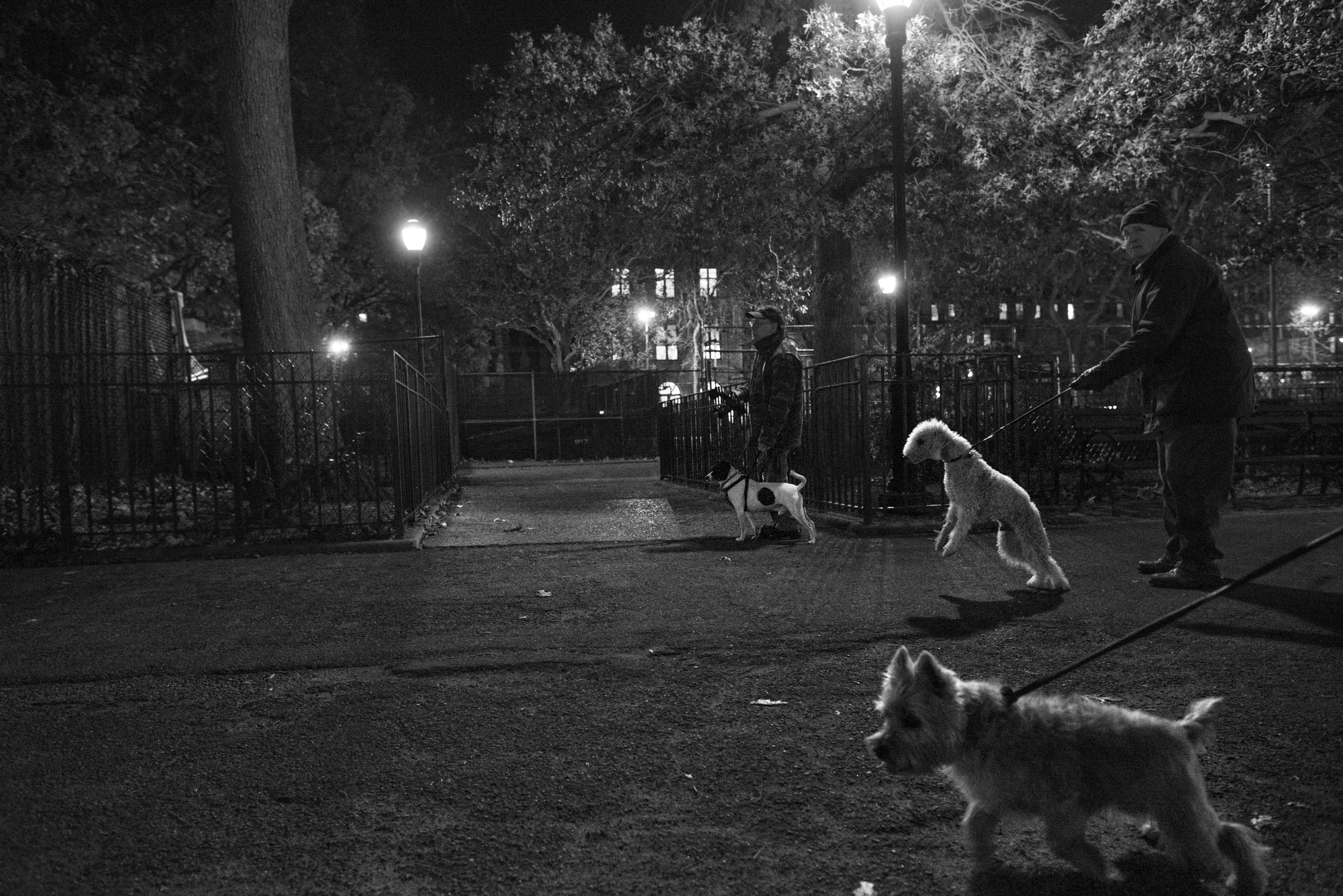  Catcher jumps at the chance of being let go to work Tompkins Square Park, during a first exploratory expedition for the group, R.A.T.S- Ryders Alley Trencherfed Society. &nbsp;RATS is a group of men and women who stalk the streets of New York City w