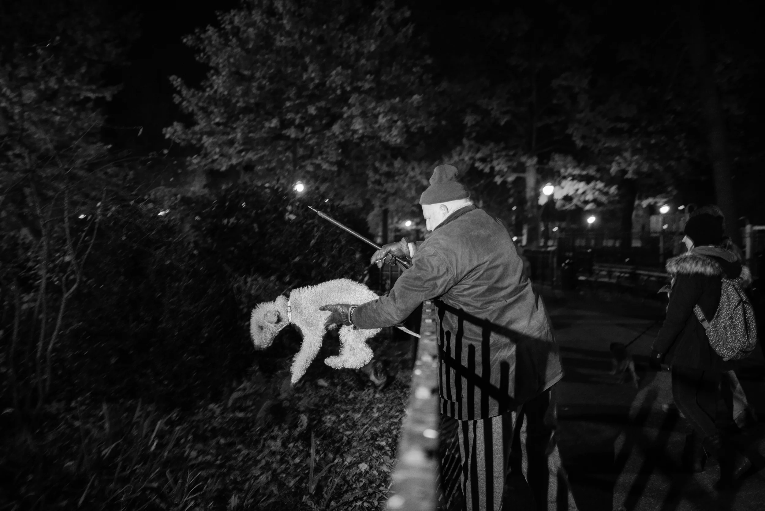  Richard places his Bedlington Terrier, Catcher, into a greenery space inside of Tompkins Square Park, after members of the group saw a rat scurry by. 