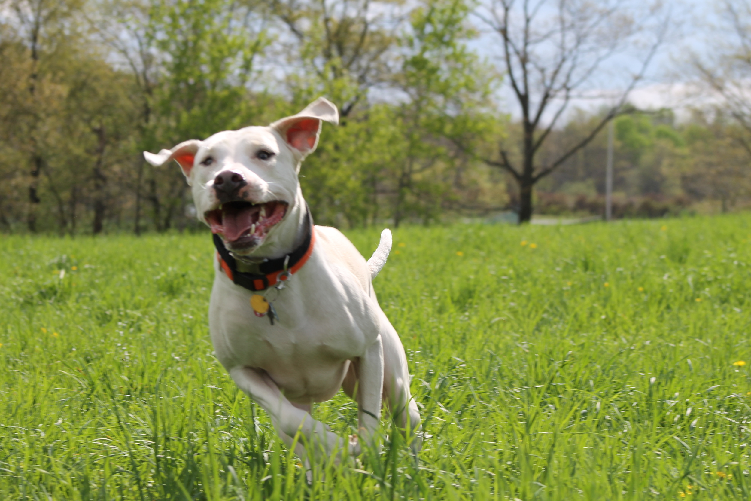 Ticks Bite!  Get the Facts.