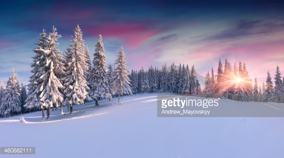Photo by Andrew_Mayovskyy/iStock / Getty Images