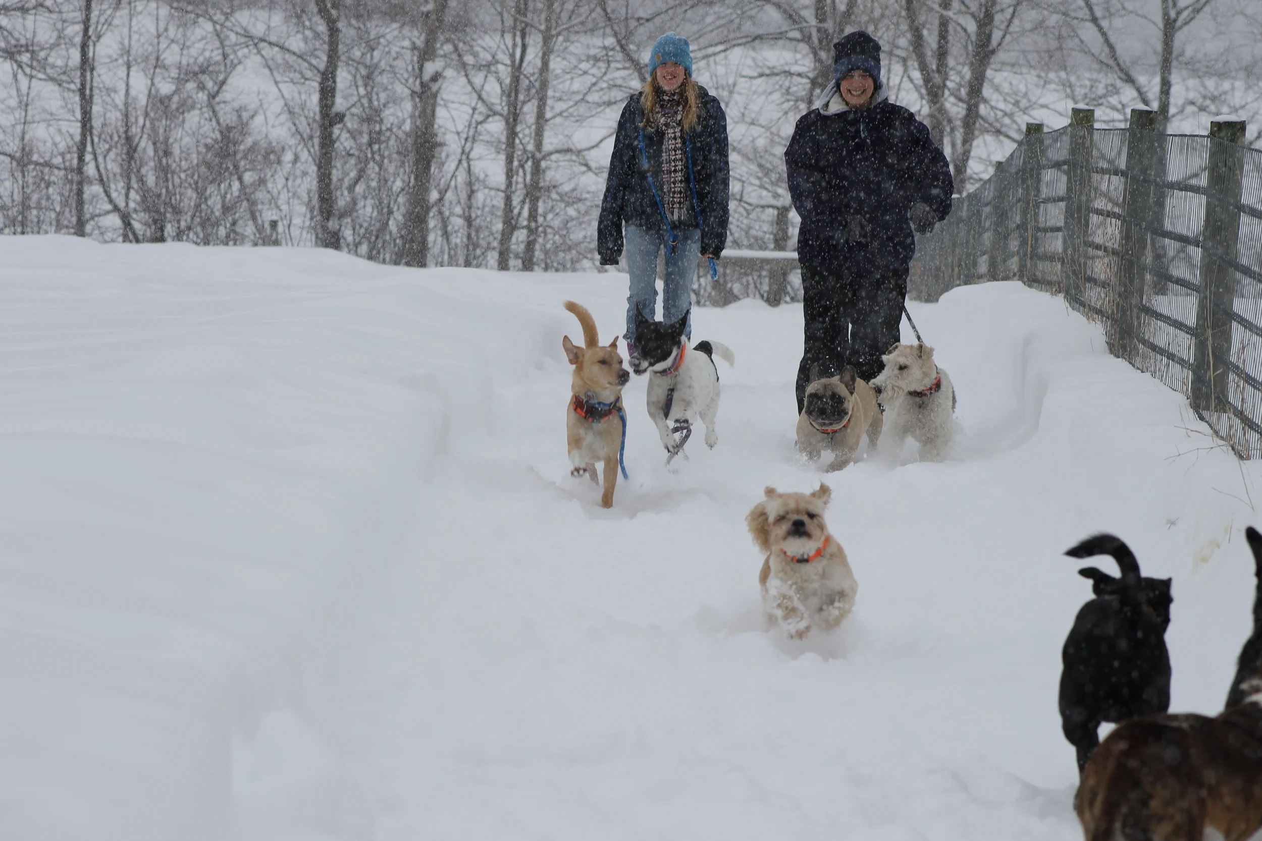 Baby It's Cold Outside! 